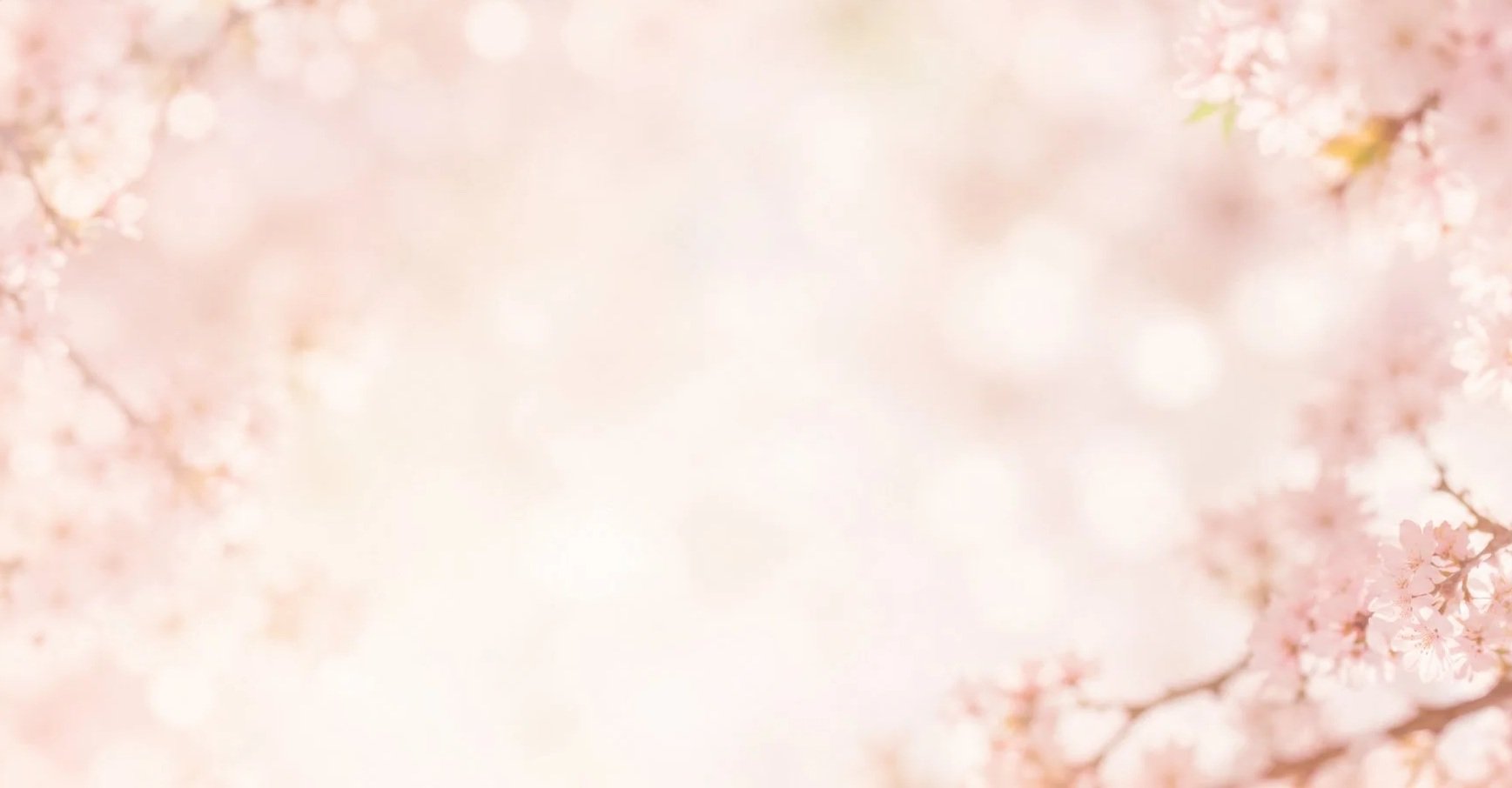 background-18.jpg