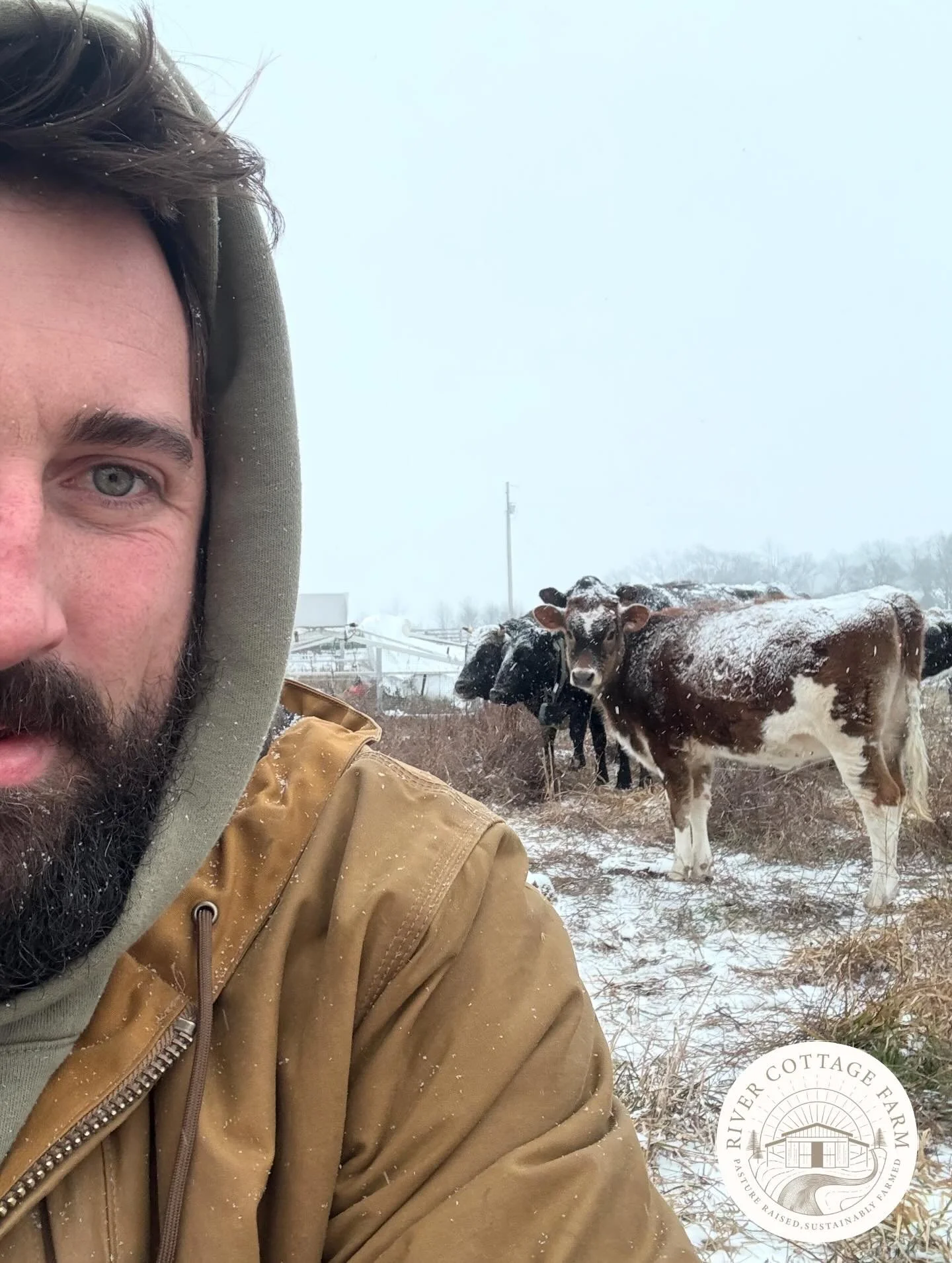 ❄️🌱 Winter Storm &ldquo;Fern.&rdquo; #Farmlife 🧑&zwj;🌾💯. Even with the rare occasion of the market not being open today, your farmers: never close. Take a peek of life on the farm from: @rivercottagefarm corralling the steers 🐂, goats 🐐, and sh