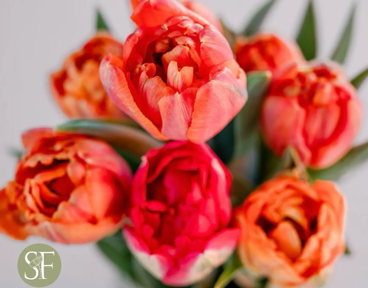 💌 Sending a little reminder why Saturday mornings are the BEST! 🌷 Even better, picking up fresh bouquets @southernflorafarms on Valentine&rsquo;s Day. ❤️ 
⏰ Saturday 8am-12noon
📍120 Aldersgate Way, Franklin TN 
🅿️ Franklin First United Methodist 