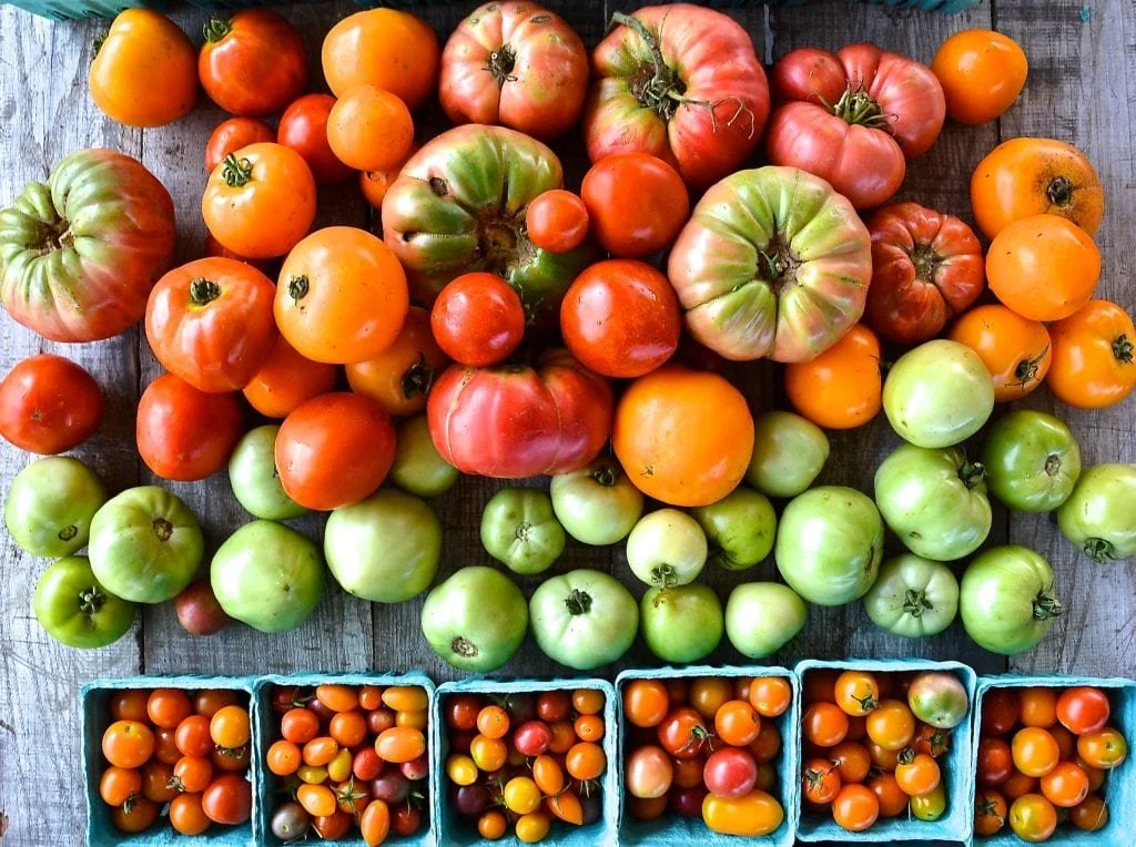 A variety of ripe tomatoes of different sizes and colors, including red, green, and orange, spread out on a wooden surface with small baskets of cherry tomatoes at the bottom.