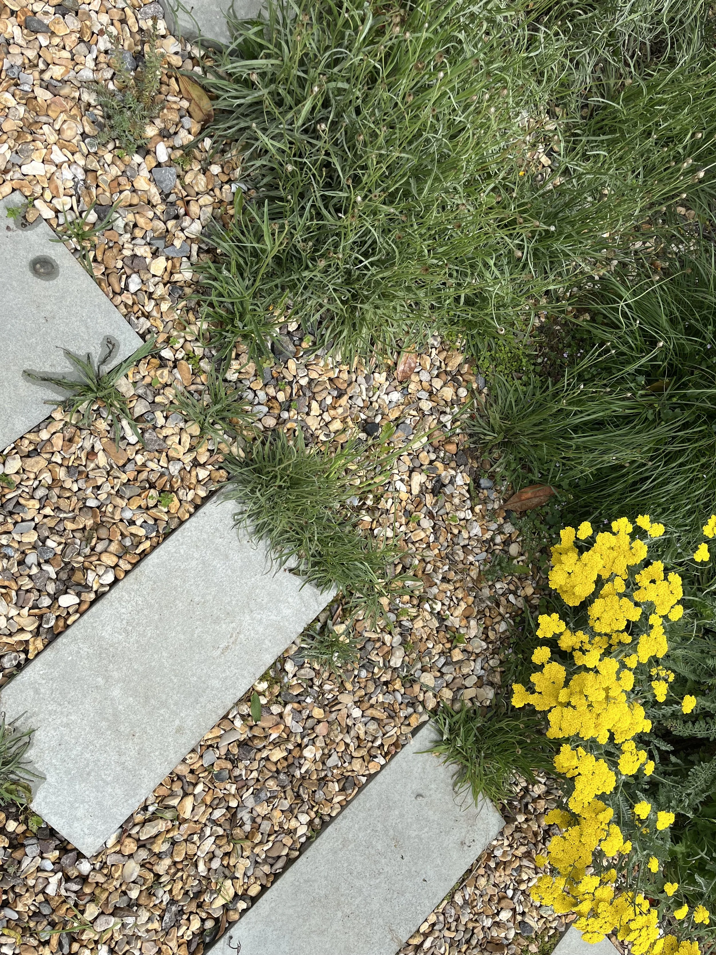IMG_1748.jpeg