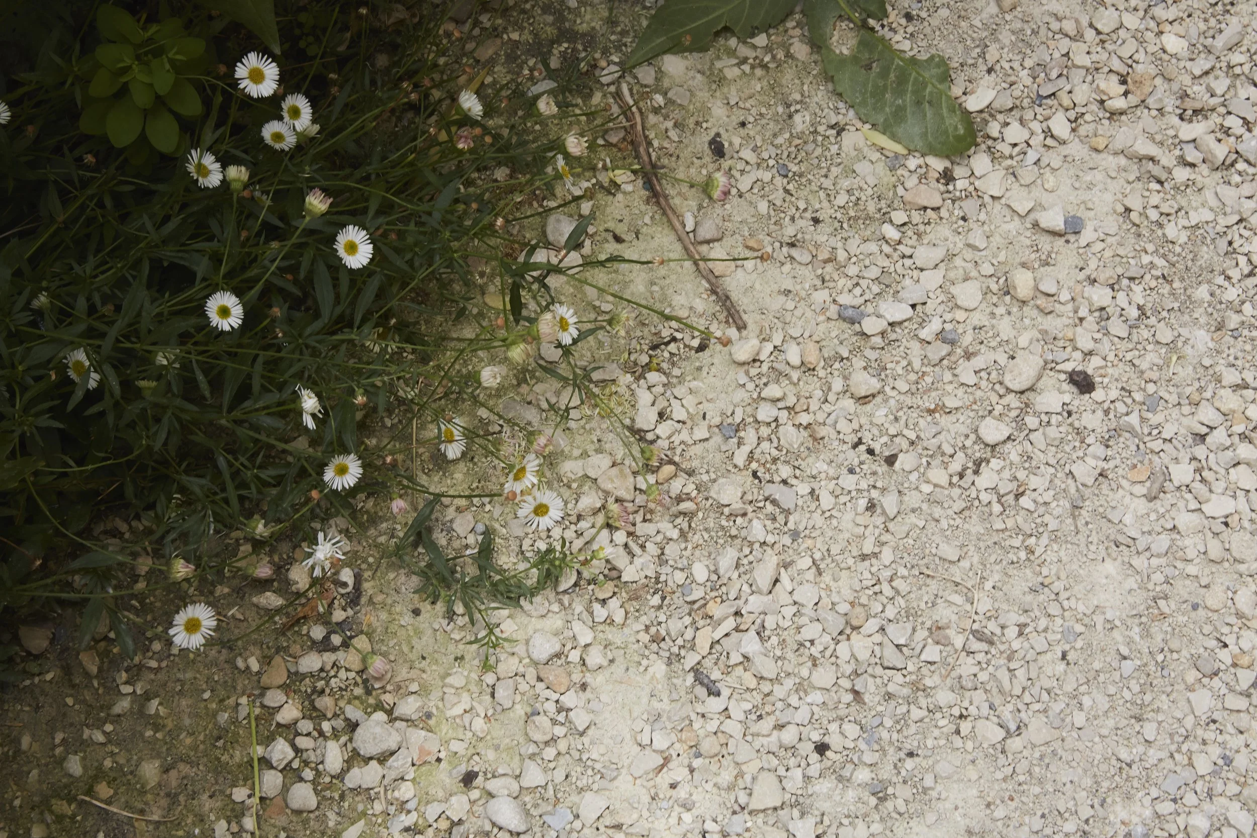 021A8409.jpg