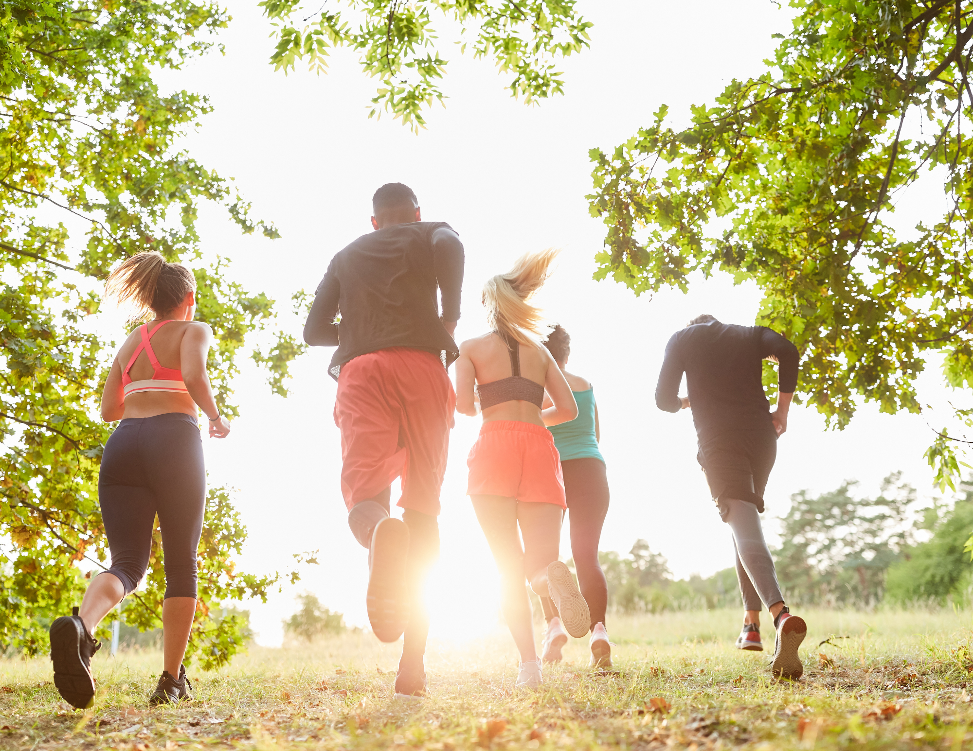 Balade Sportive Culturelle & Gourmande
