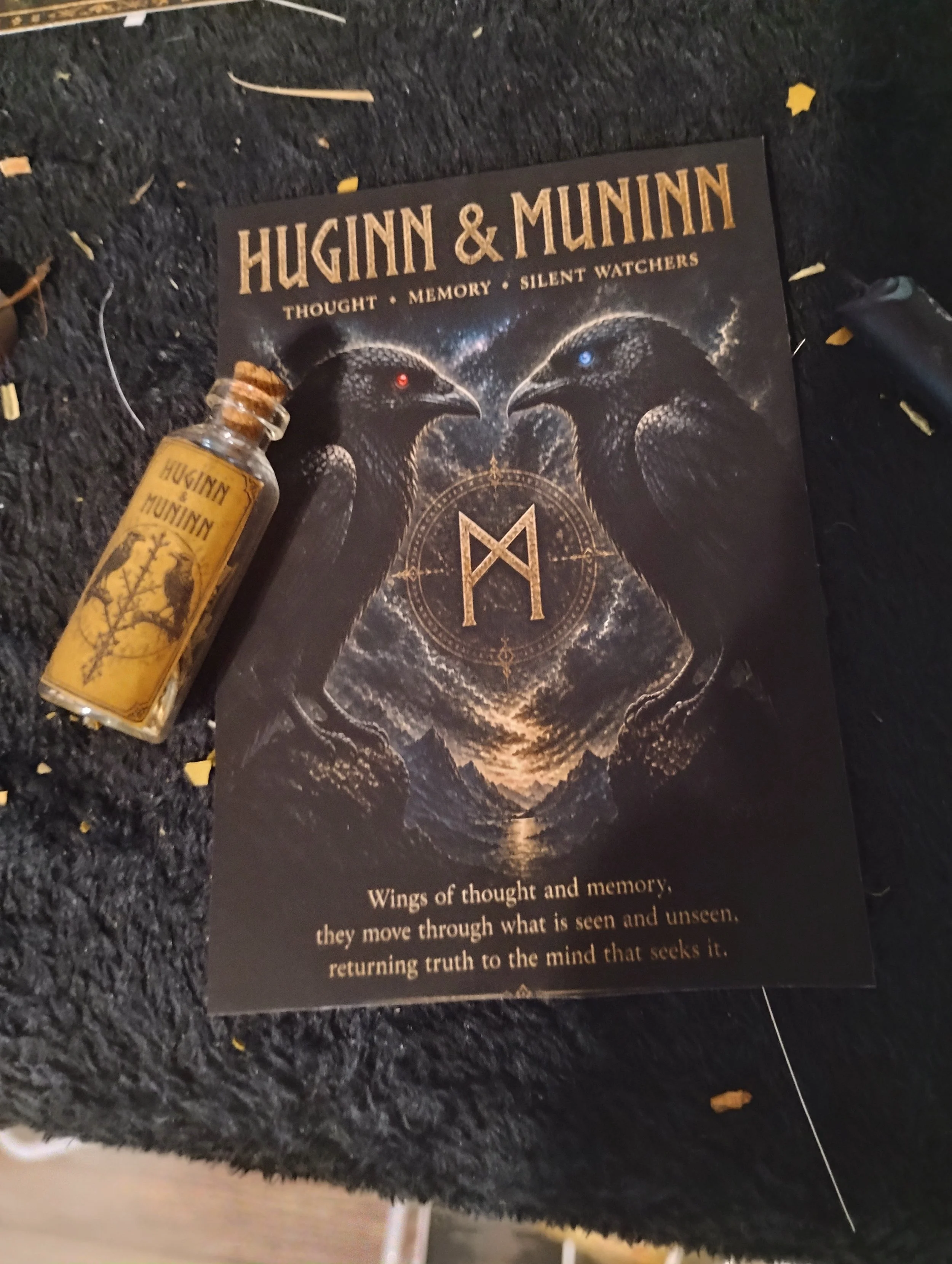 HUGINN & MUNINN - THOUGHT & MEMORY SET