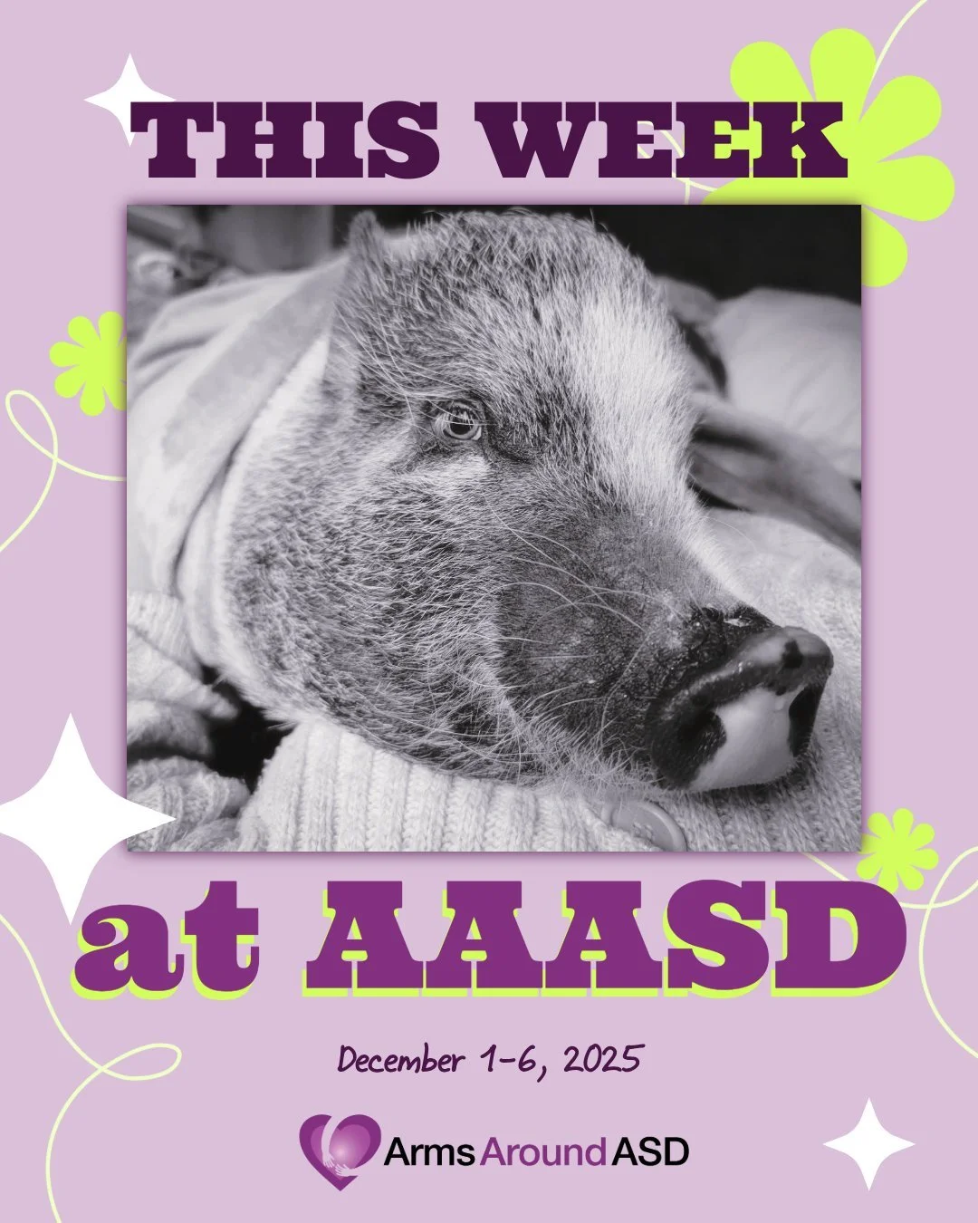 Here's what's going on this week at Arms.

Note: *Starred events are by appointment only. Contact us directly for scheduling!

MONDAY 12/1
2pm Garden Group
6:30pm &ldquo;Q&amp;A&rdquo; Queer &amp; Autistic Support Group with Scout &amp; Zan

TUESDAY 