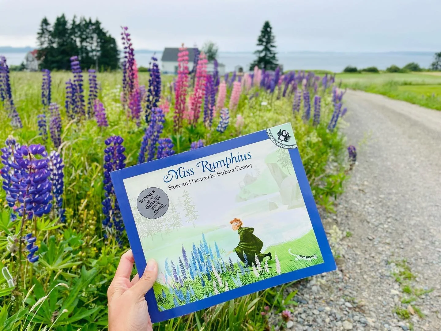 When I was little I fell in love with the world of this book. I wanted to see the blue and purple and rose colored lupines, stay in a cottage by the sea, and do something to make the world more beautiful &mdash; just like Miss Rumphius. And now I&rsq