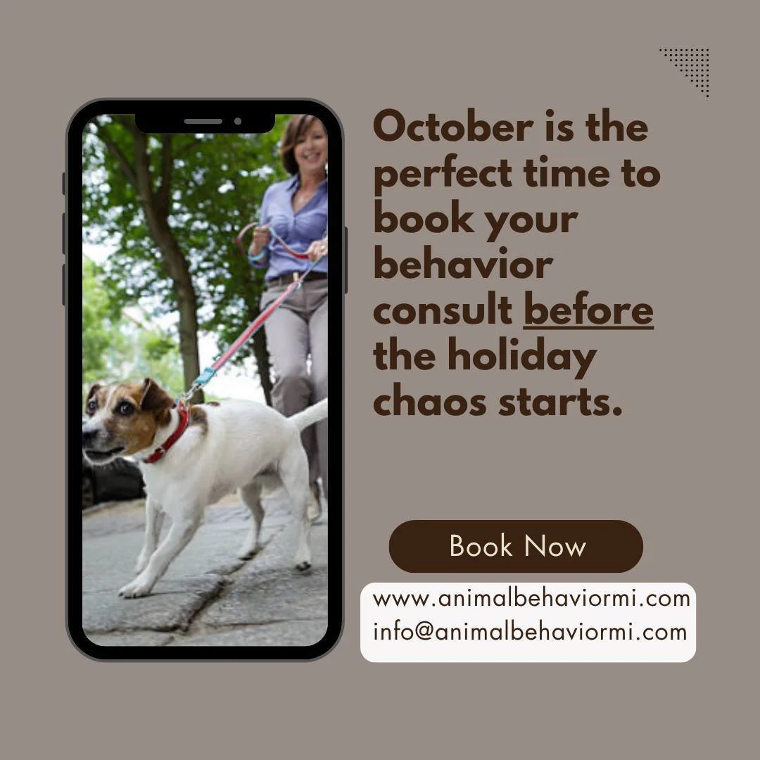 Need help with your family pet? We are here.
#animalbehaviorconsultantsofmichigan #reactivedog #familydog #catbehavior  #rescuedog #rescuecats