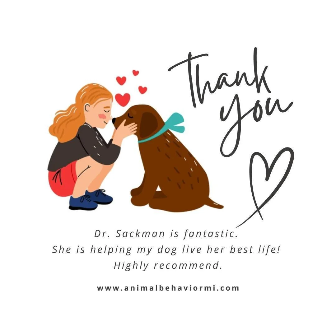 Thank you Rebecca for your kind words. It has been such a pleasure meeting you and working with Frida. 
#animalbehaviorconsultantsofmichigan #reactivedog #dogtraining #rescuedismyfavoritebreed #doglife #familydog  #Rebeccaemery