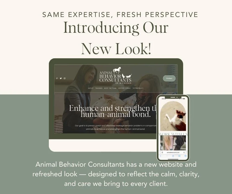 Welcome to the new Animal Behavior Consultants.

We&rsquo;ve refreshed our brand and redesigned our website to reflect the heart of our mission &mdash; enhancing the human-animal bond with compassion, science, and clarity.

Whether you&rsquo;re a lon