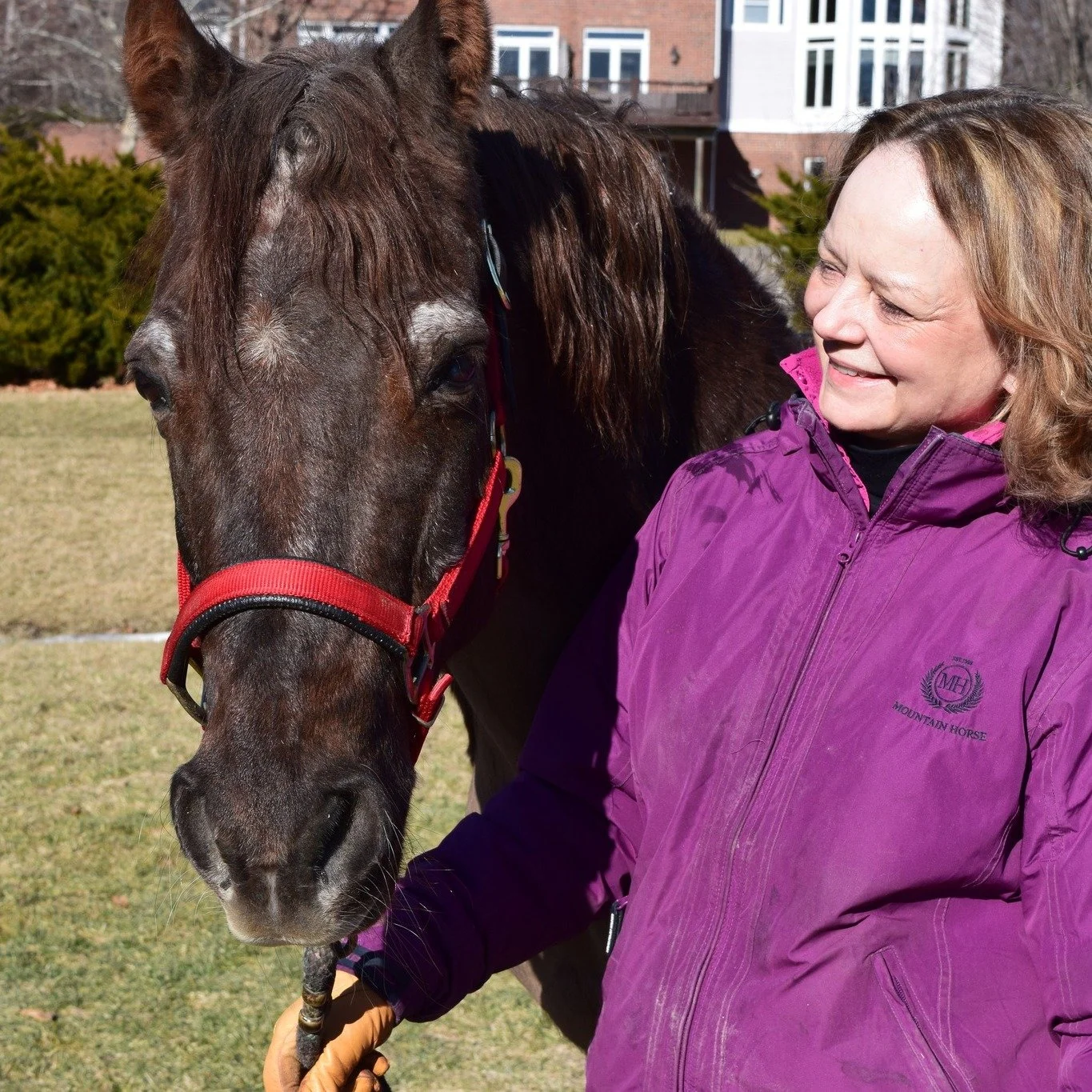 Get to know me, Friday!
Many people know that I have a lifelong love of cats and dogs and see these wonderful creatures in my behavior practice.  You may not know that I also have had horses my entire life. I thought I was going to be an equine veter