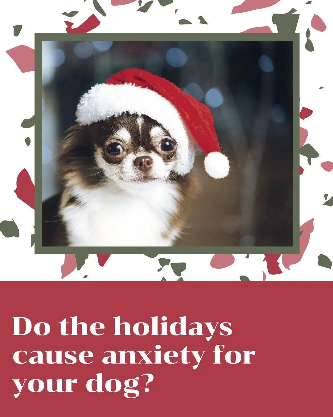 Does your dog start to unravel every December &mdash;pacing, barking, stealing food, or having accidents seemingly out of nowhere??

Why? Dogs thrive on routine all the things holidays are generally not.
&ndash; Schedule changes, guests (human and ca