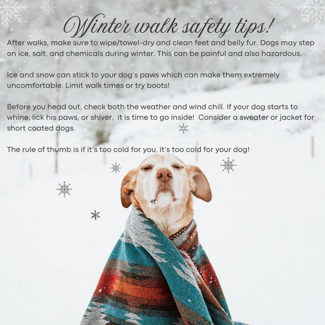 Baby it's cold outside! 
Feeling house bound and want to go for a walk?  Remember, that if it is too cold for you - it is probably too cold for your dog!

#animalbehaviorconsultantsofmichigan #familydogs #rescuedog #doglover #rescuedismyfavoritebreed