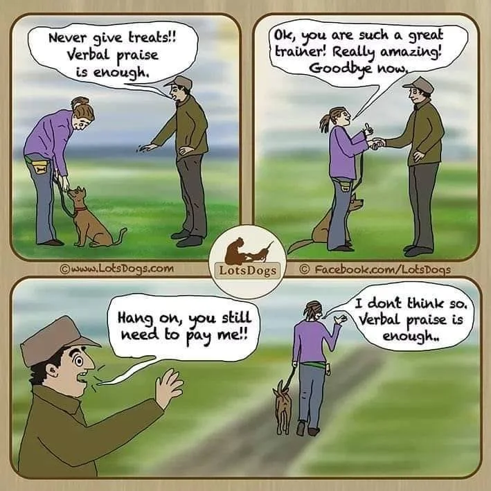 Praise or Treats? 
Both are great! We love our dogs and praise for a job well done is a great thing! Sometimes,  though praise needs to be supplemented with a special treat - it helps accelerate learning new things and learning in stressful environme