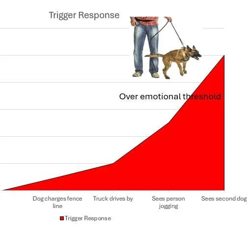 Can Your Dog's Behaviors Appears Random?  Unpredictable? Inconsistent?

Appearance of &ldquo;unpredictable&rdquo; behaviors, such as growling or refusing to engage in an activity is often  due to trigger stacking for your dog.
Trigger-stacking can oc
