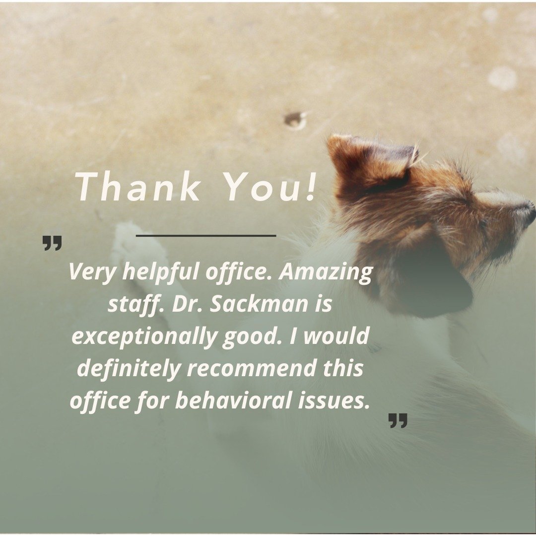 How can we help you with your pet's behavioral issue? Find us at www.animalbehaviormi.com
#animalbehaviorconsultantsofmichigan #sheltercat #catlovers #rescuecats #reactivedog #familydogs #reactivedogtraining