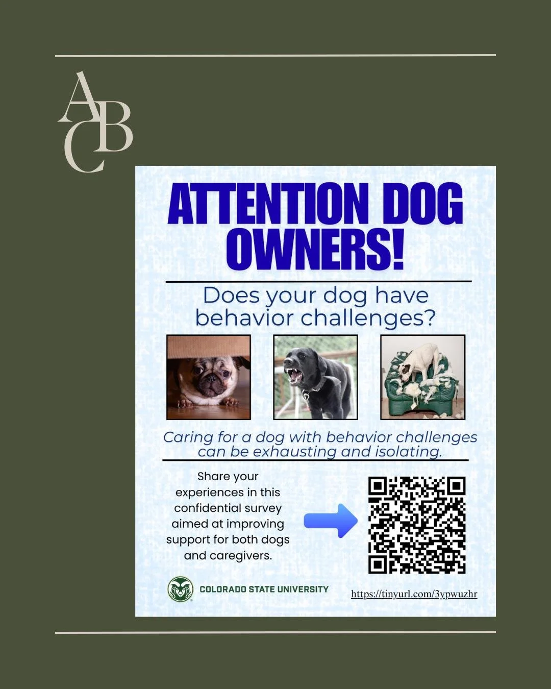 Can you help?
Those of us who work with dogs with behavior issues know how challenging this can be - for the dogs themselves and for the people who love them. Living with aggression, fear, reactivity, or severe anxiety doesn&rsquo;t just affect train