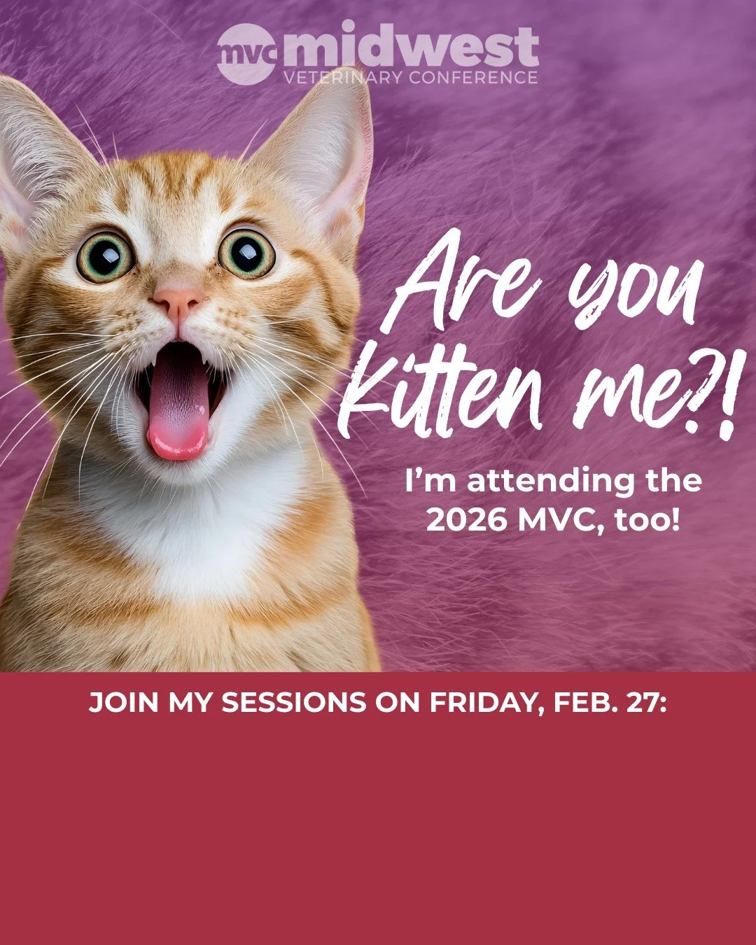 I am going!
I have been invited to speak at the Midwest Veterinary Conference in Columbus, Ohio this Thursday-Saturday.  I will be speaking on horse, dog and cat behavior all weekend - such an honor to be invited - I am so excited!!
So pleased to als