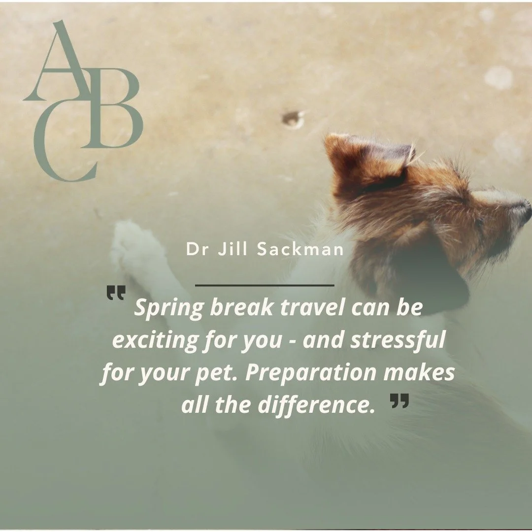 Ready for Spring Break?
We may be excited and ready for a change, but have you had the time to think about what travel and change may mean for you dog? 
If your dog will be traveling in the car do they have a safe and secure travel space? Buckle in h