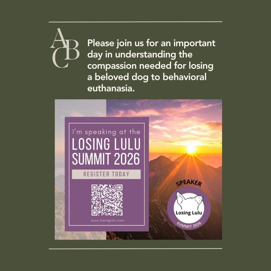 I am honored to have been nominated by one of my clients to speak at the Losing Lulu Summit 2026.
Catch my discussion with founder Sue Alexander, CPDT-KSA, CBCC-KA, CDBC about the need for a compassionate team to support challenging behavior patients