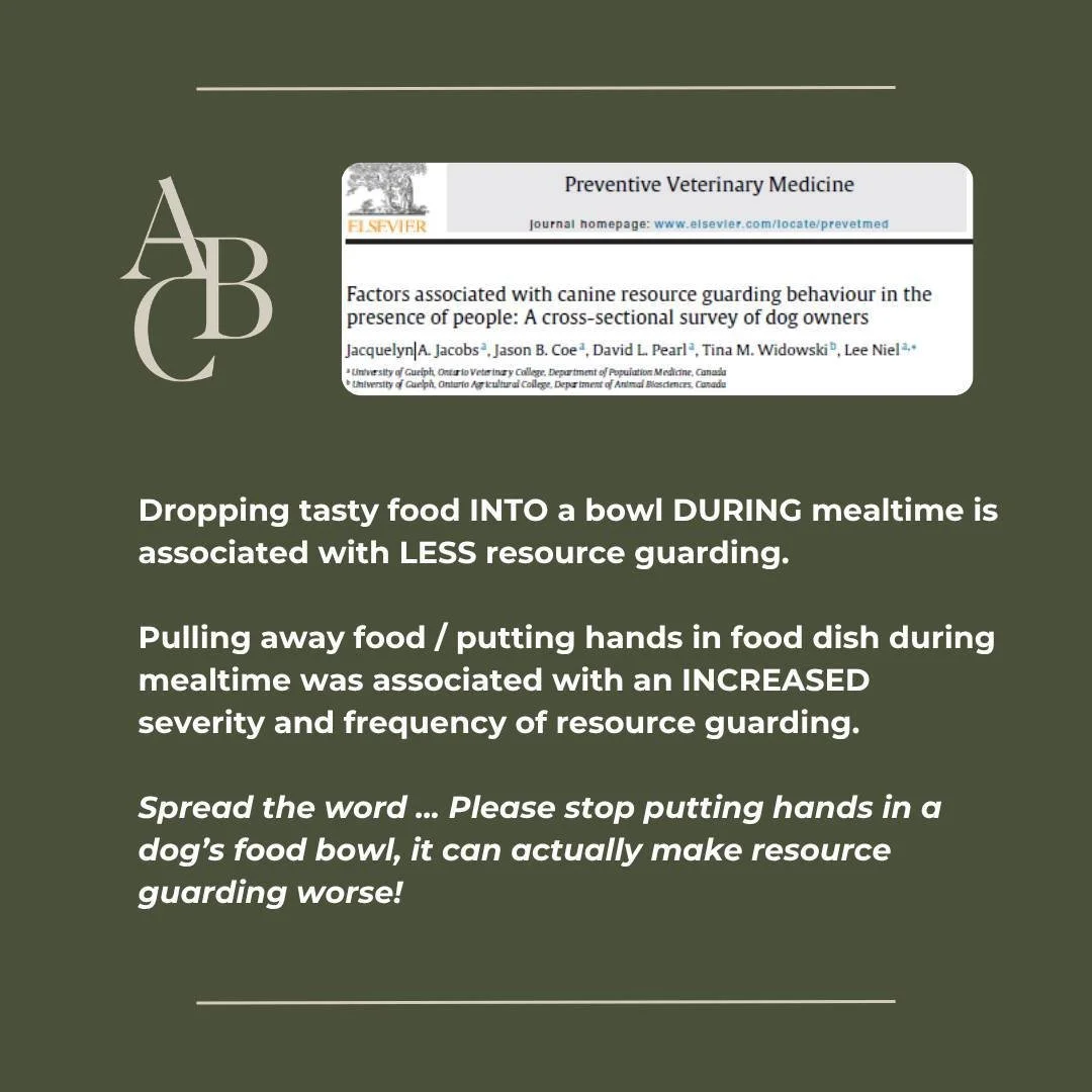 Please help!
Spread the word that putting hands in food bowls and pulling food away from dogs INCREASES aggressive behavior. 
Dropping food in the bowl as you walk by DECREASES aggressive behavior.  Now we even have research to support this. Please h