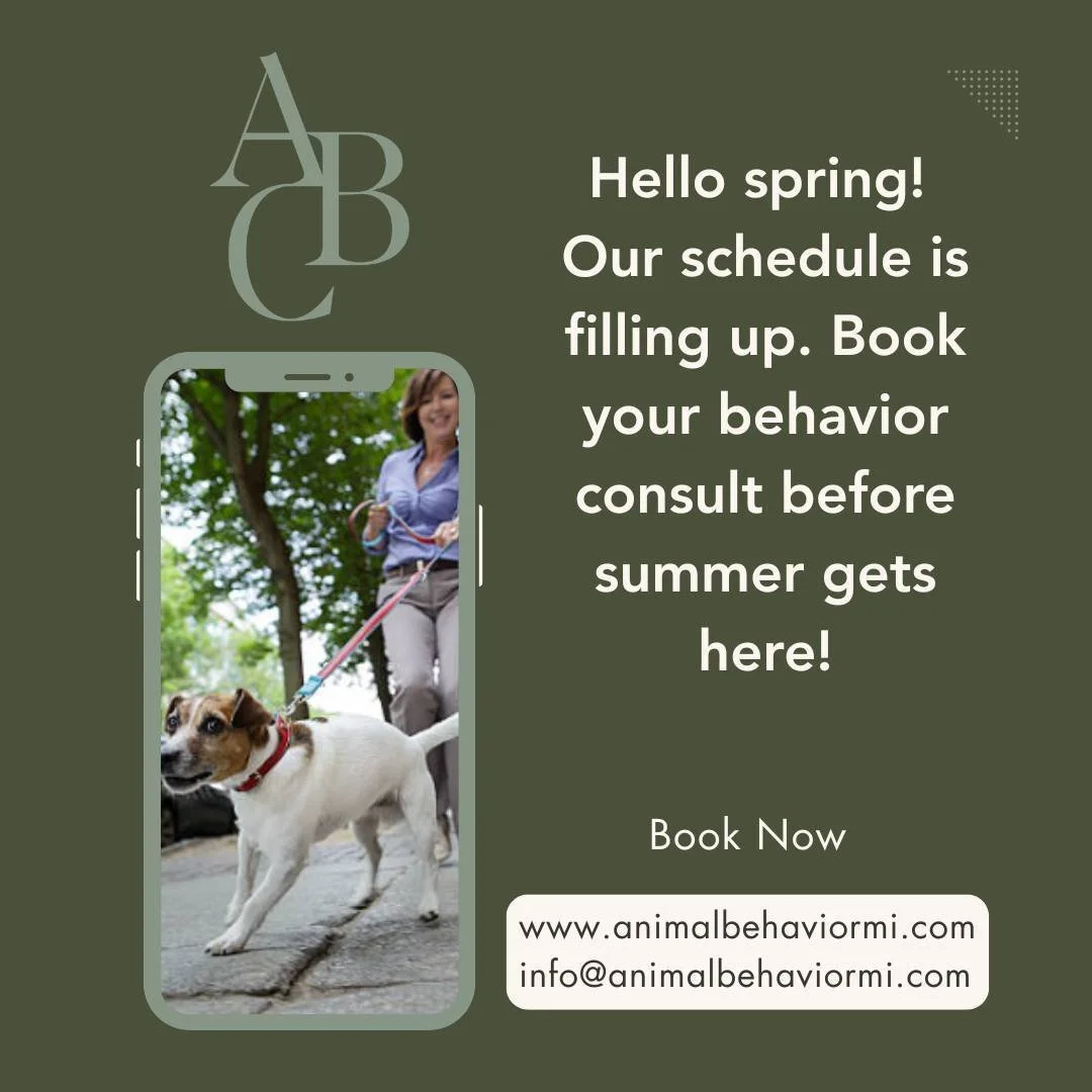 What behavior would you like help with? We we'd love to help you! 
Animal Behavior Consultants of Michigan #animalbehaviorconsultantsofmichigan  provides full consultations with a board certified veterinary behaviorist, Dr Jill Sackman as well as tra