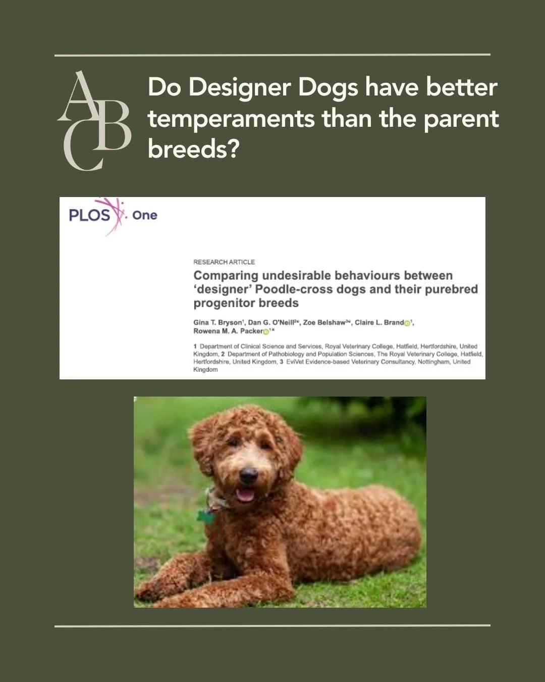 Hybrid vigor?  Probably not. 
Are behaviors in the increasing popular poodle crosses (think Labradoodle, Goldendoodle, Cavapoo, etc...) -  better than the parent breed? 
Researchers in the UK found that on average these designer crosses exhibited MOR