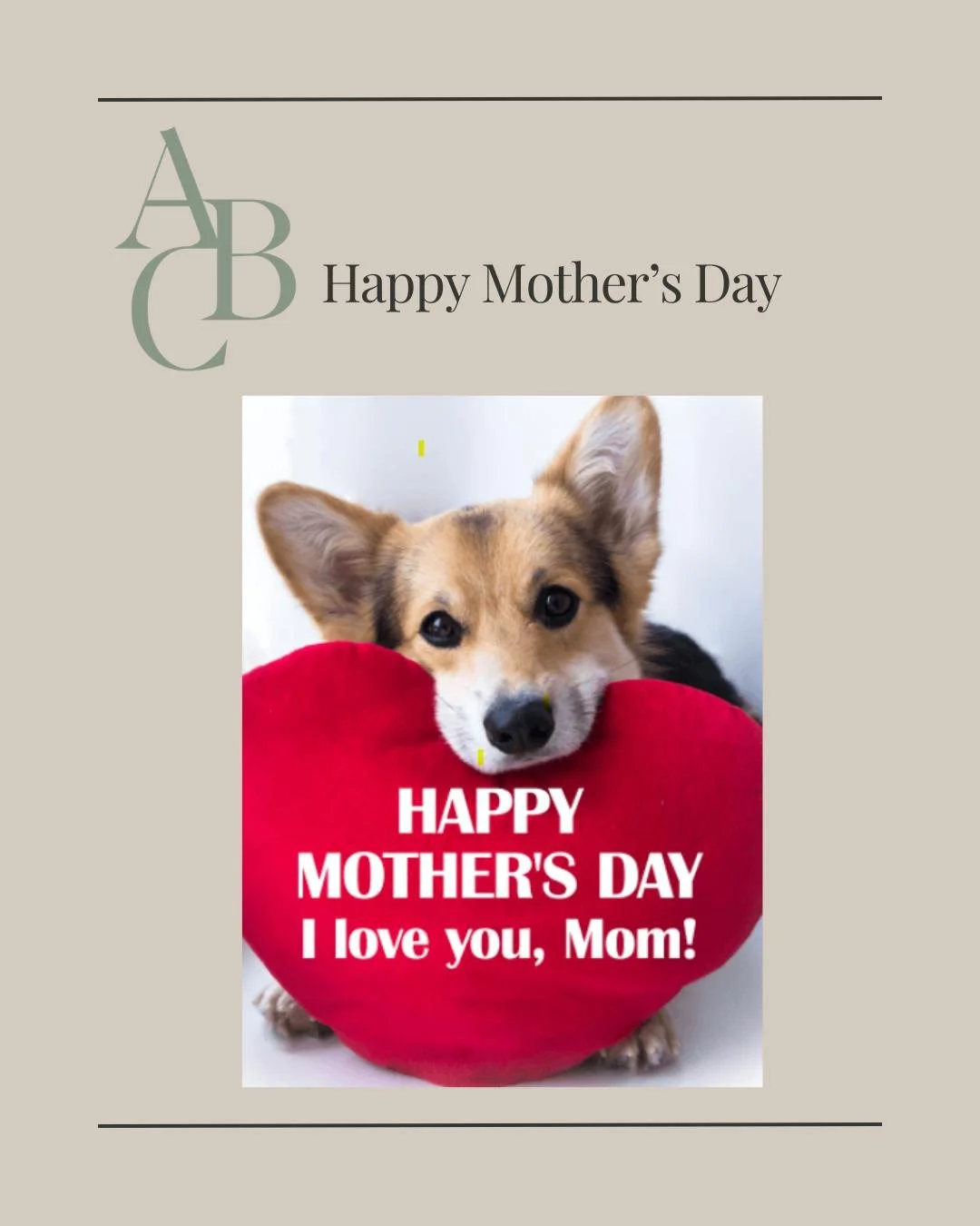 Happy Mother's Day!
Good mothers and maternal care early in the life of dogs, cats and horses (and more!) impacts behavior and temperament of offspring for life. This can be of profound importance to understanding variation in behavior in our own dog