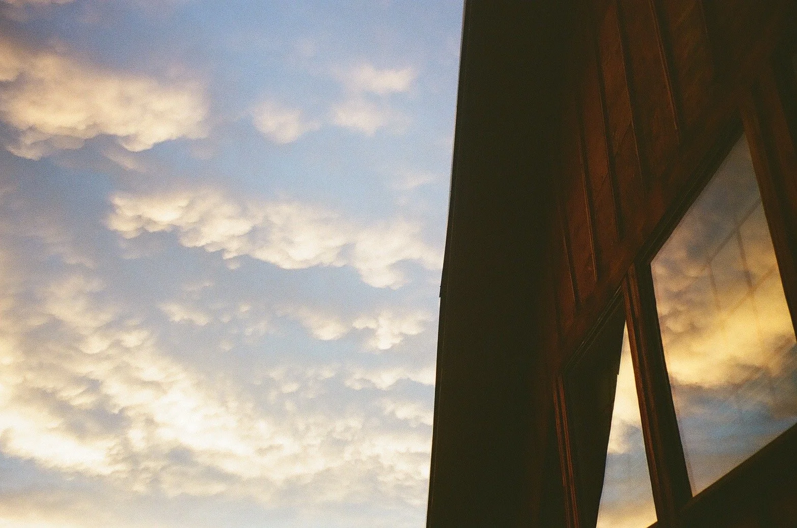 56188859.JPG
