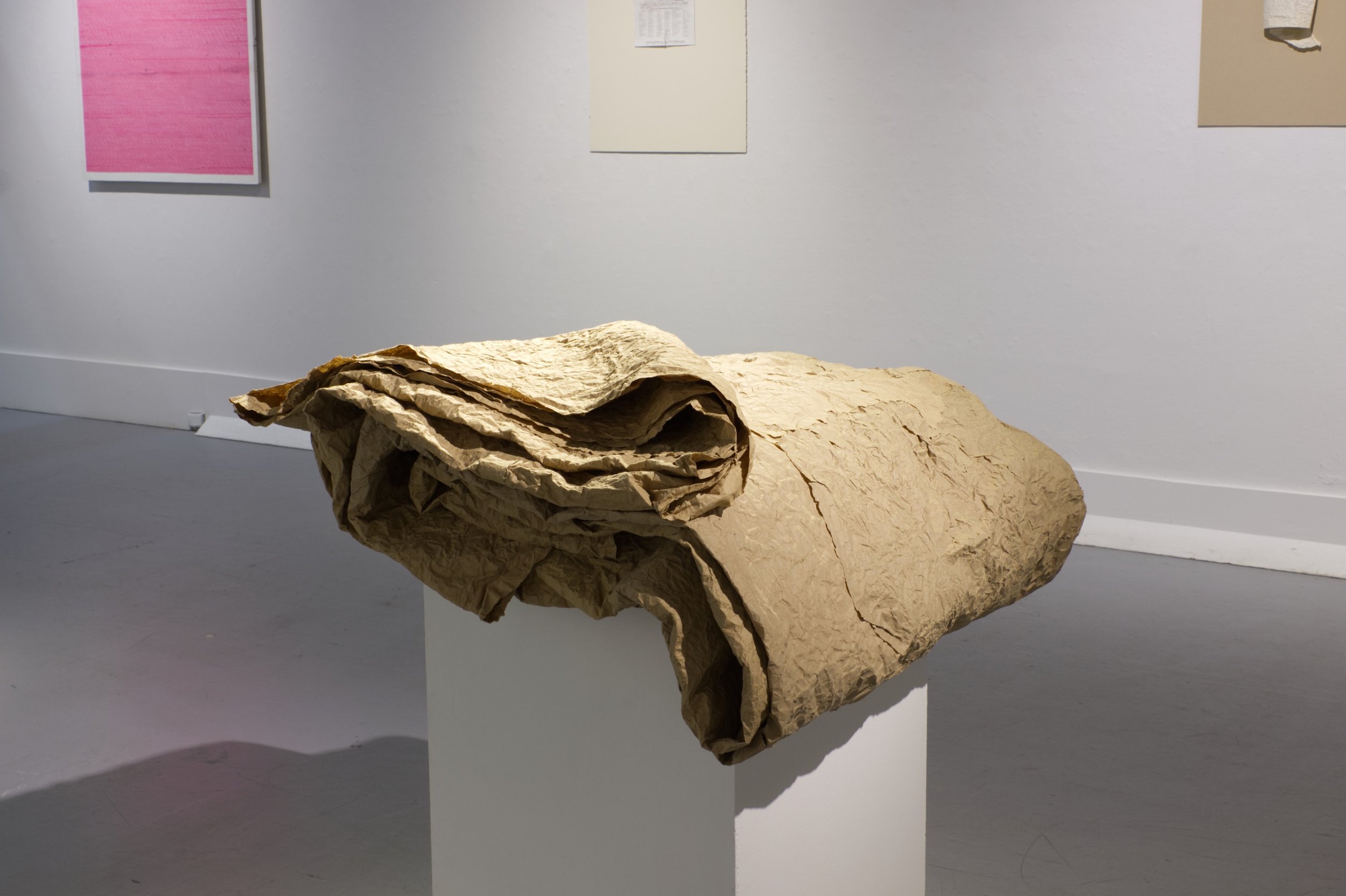 Anamnesis, Ongoing, paper and glue, dimensions fluctuating