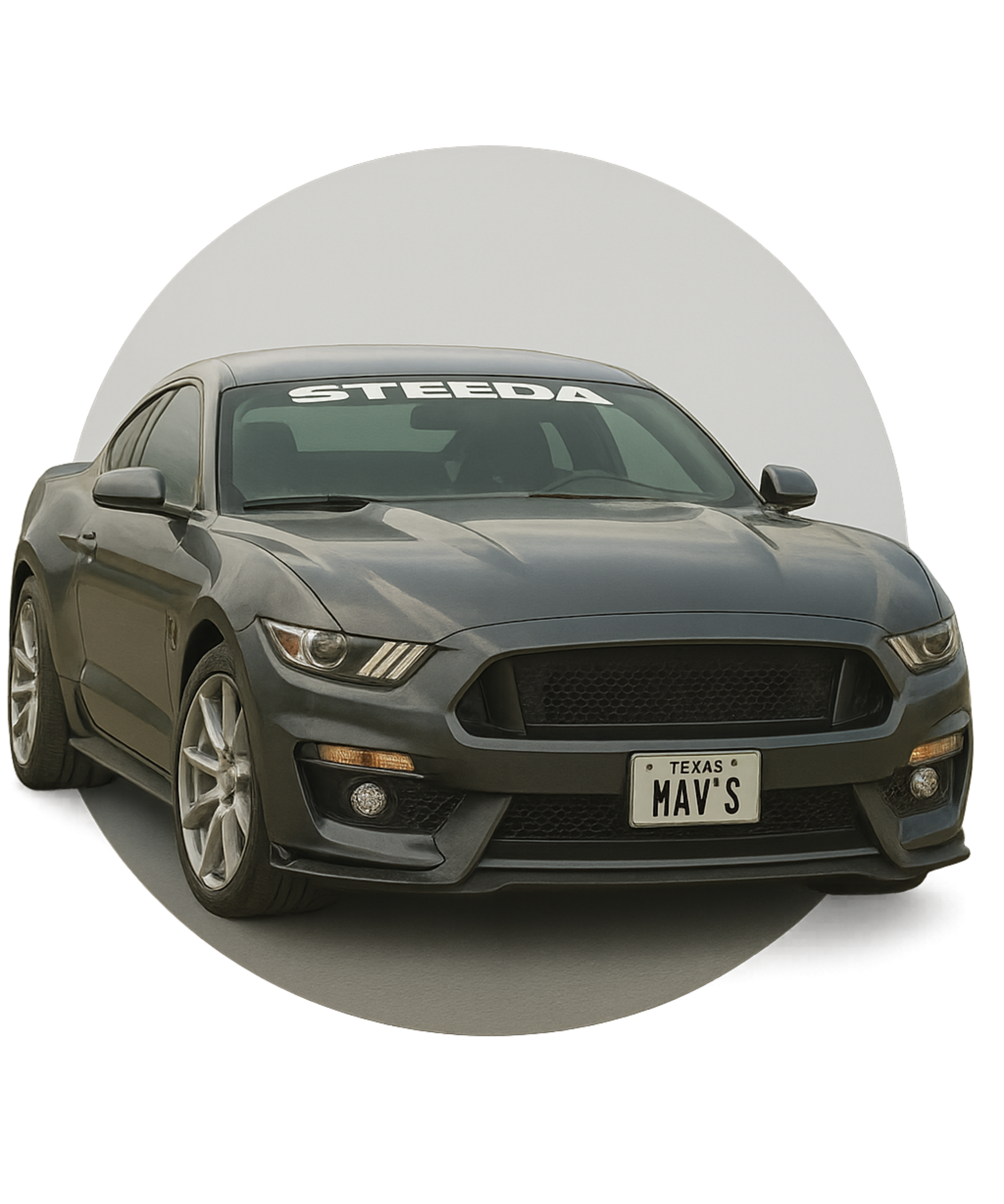 Gray Ford Mustang car with a 'STEEDA' windshield banner and Texas license plate reading 'MAV'S', positioned in front of a white background with a circular shadow.