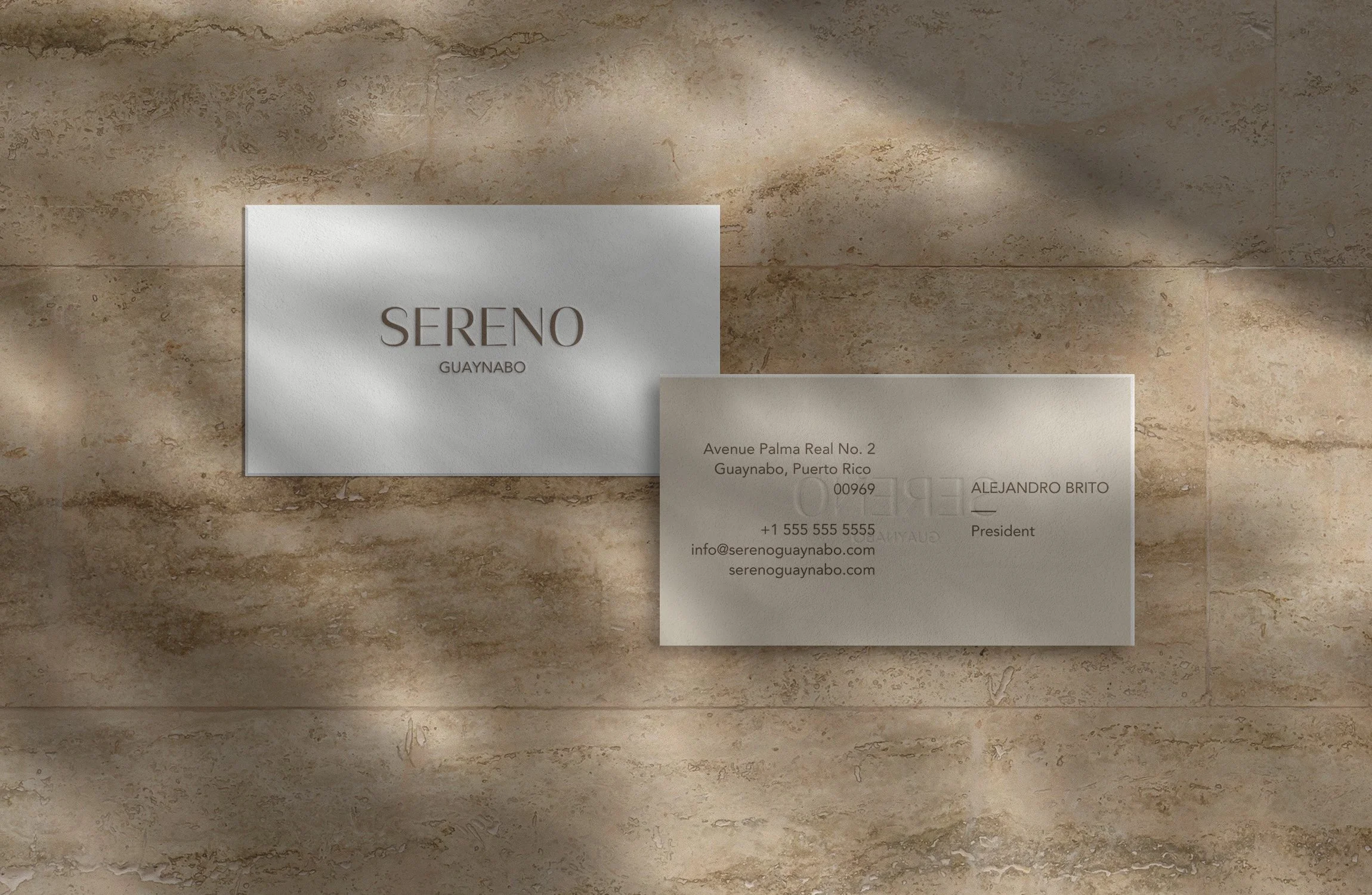 Business Card Mockup copy.jpg