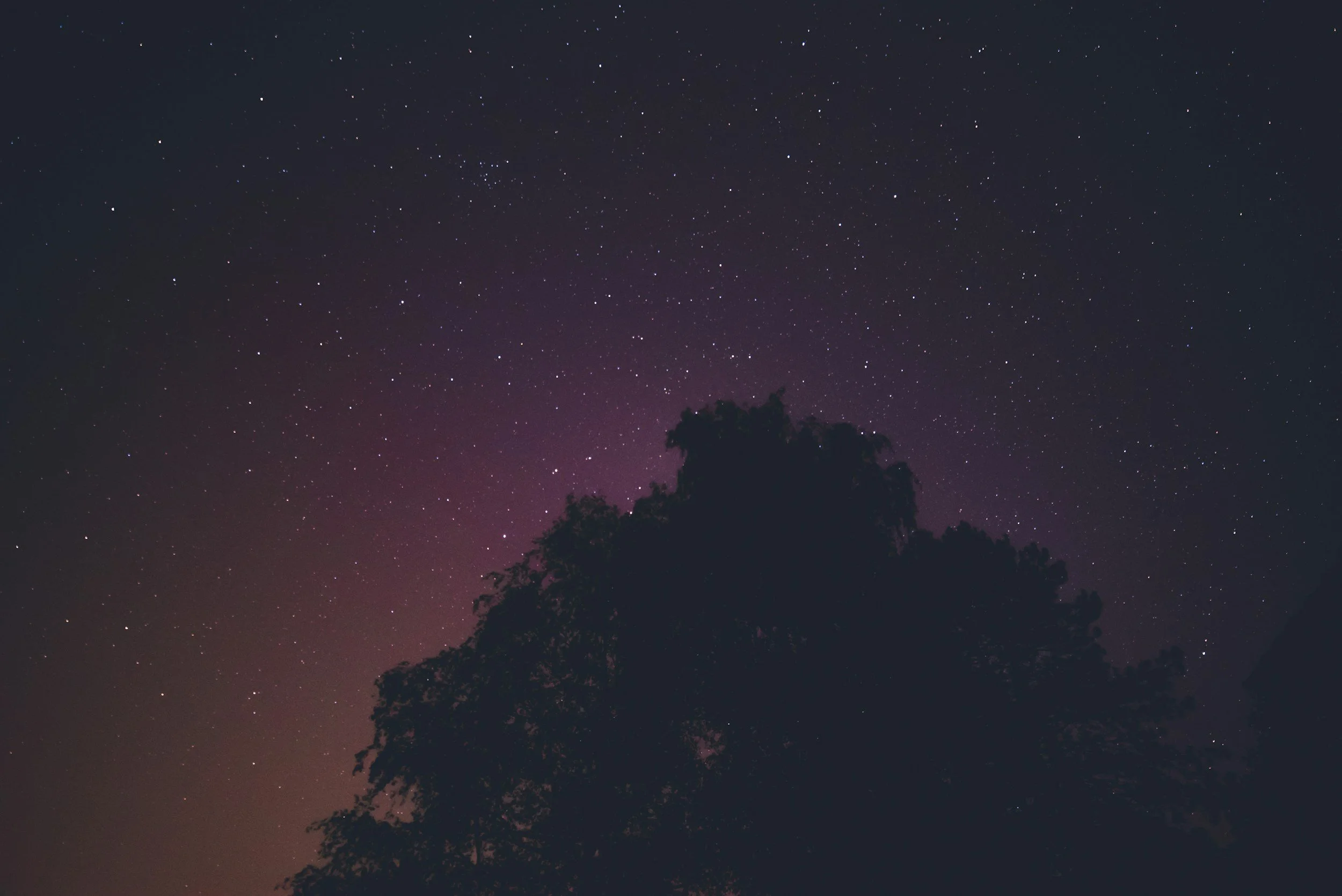 Scene of a starry night sky with numerous visible stars and some clouds at the bottom.