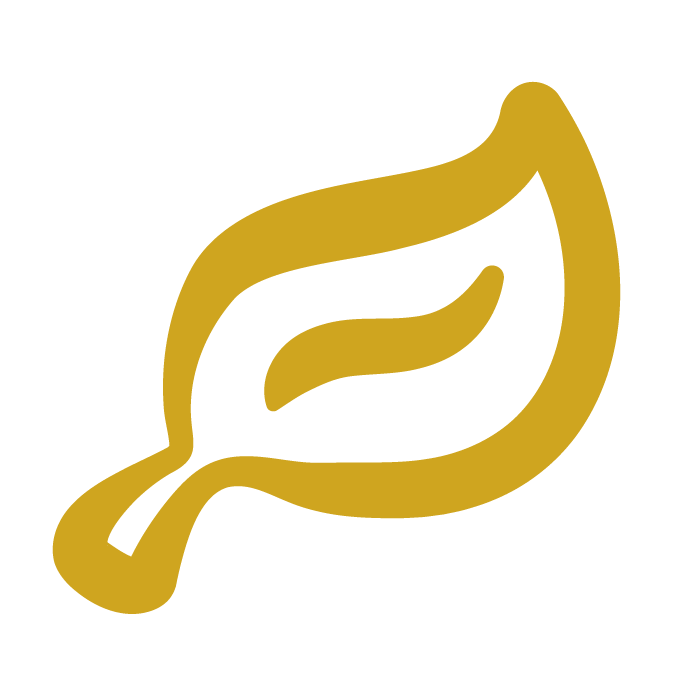 Illustration of a human stomach with a simplified diagram.