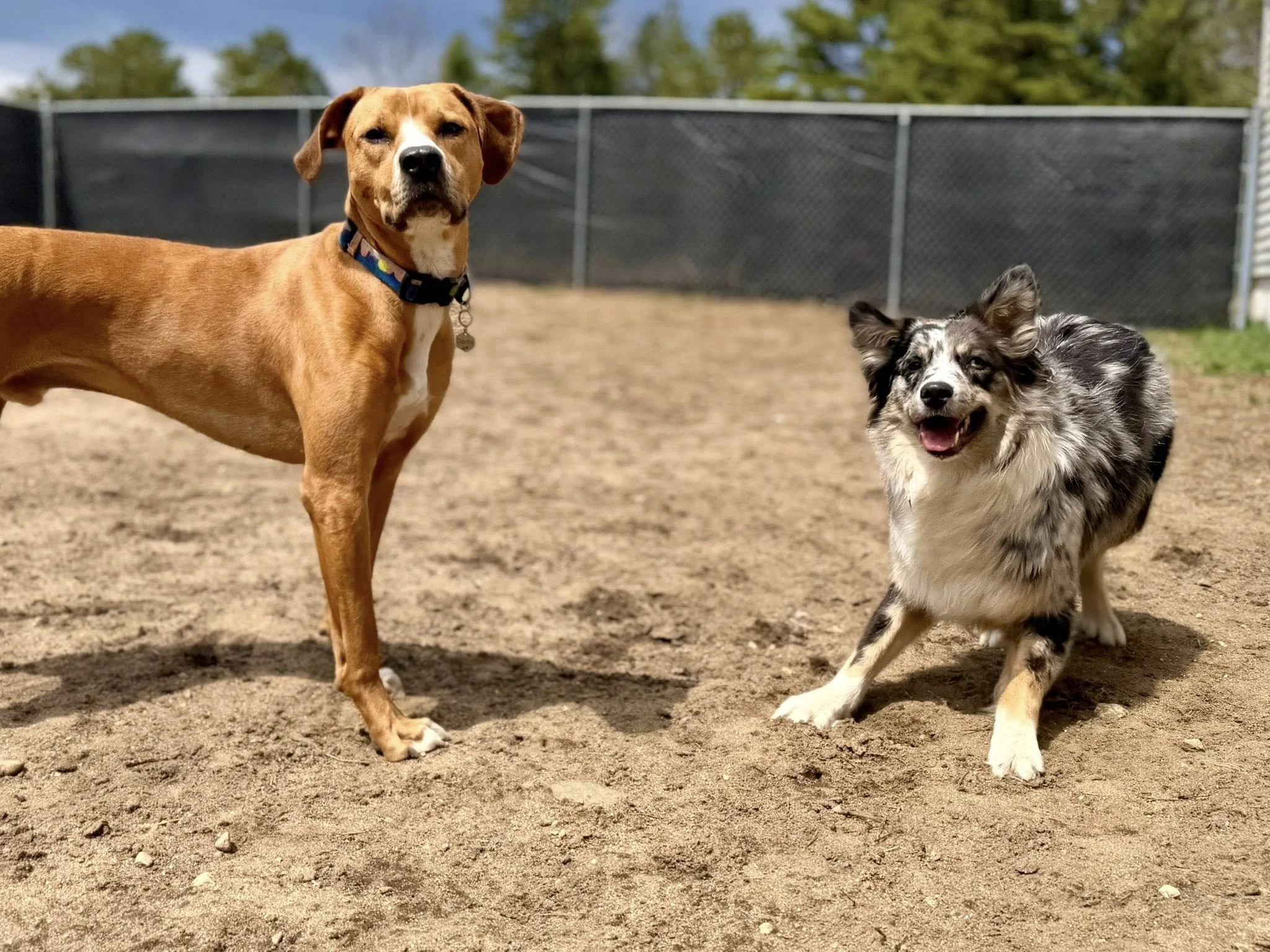 687361424_819209064586976_696898857091769968_n.jpg