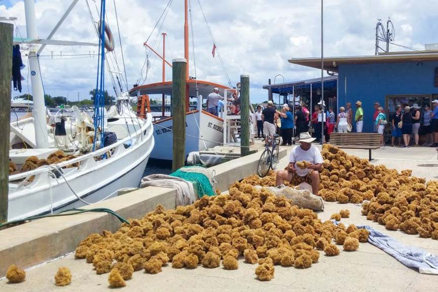 Tarpon springs 1.jpg