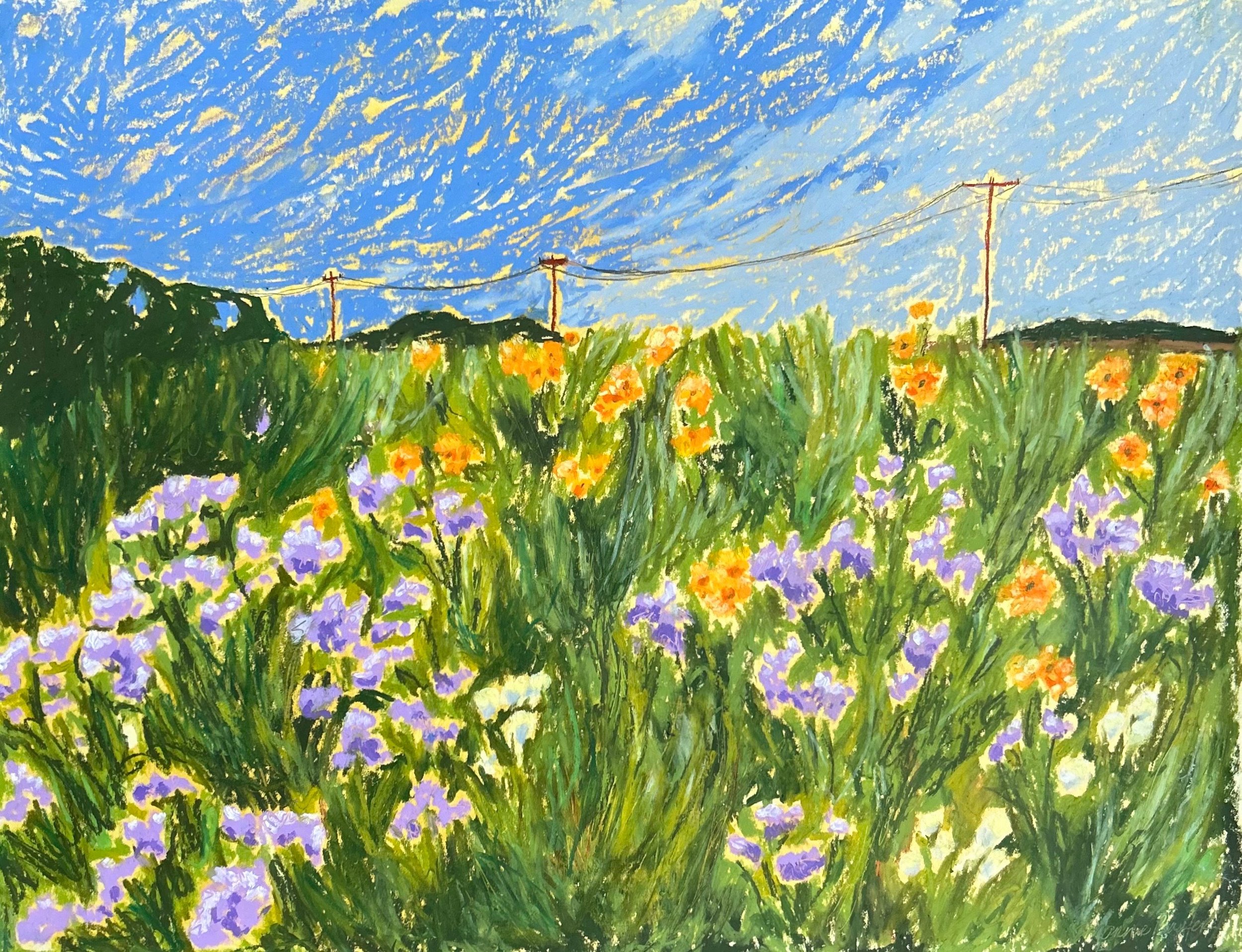 image 10.jpg