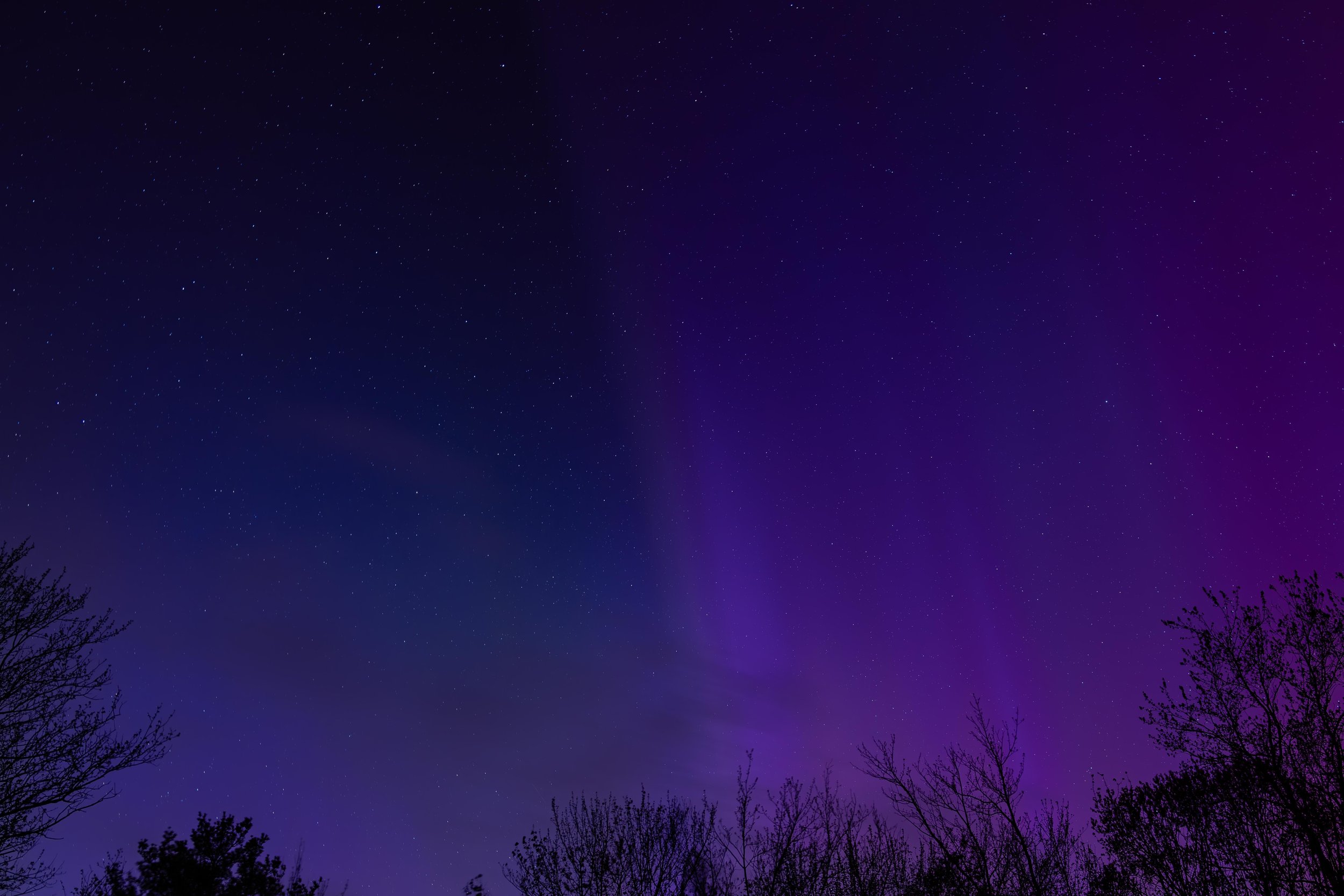 Aurora-2.jpg