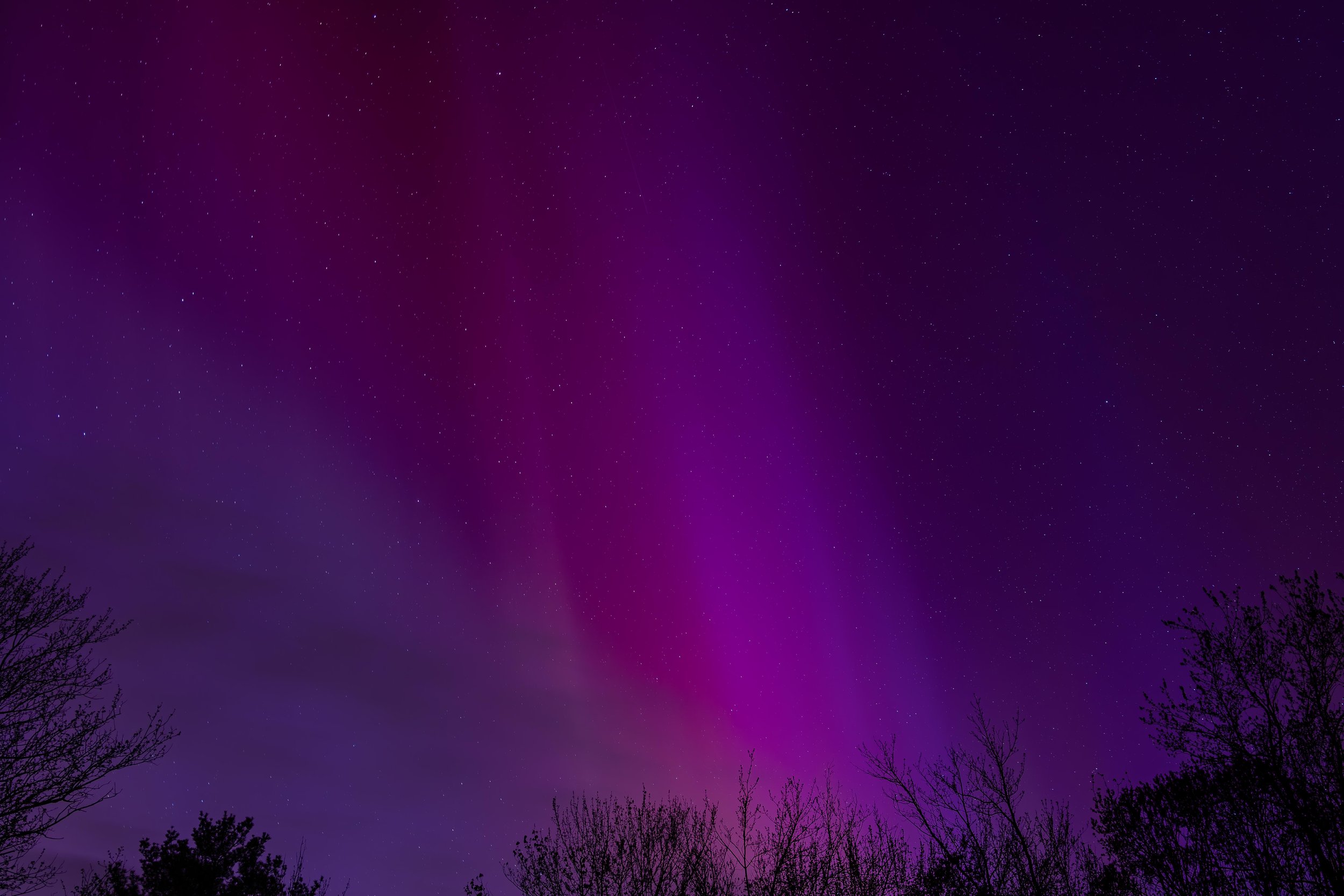 Aurora-5.jpg