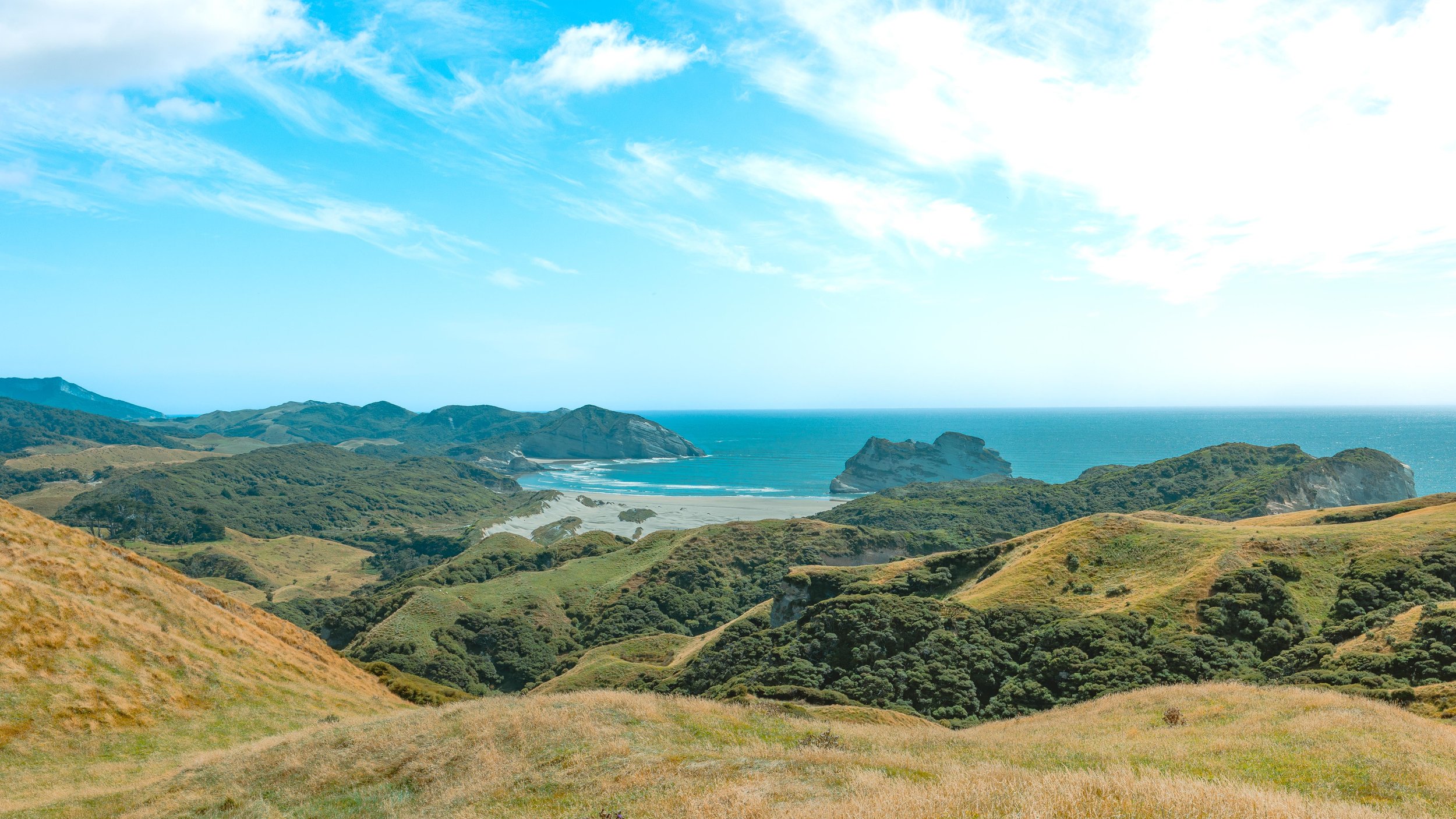 New Zealand-15.jpg