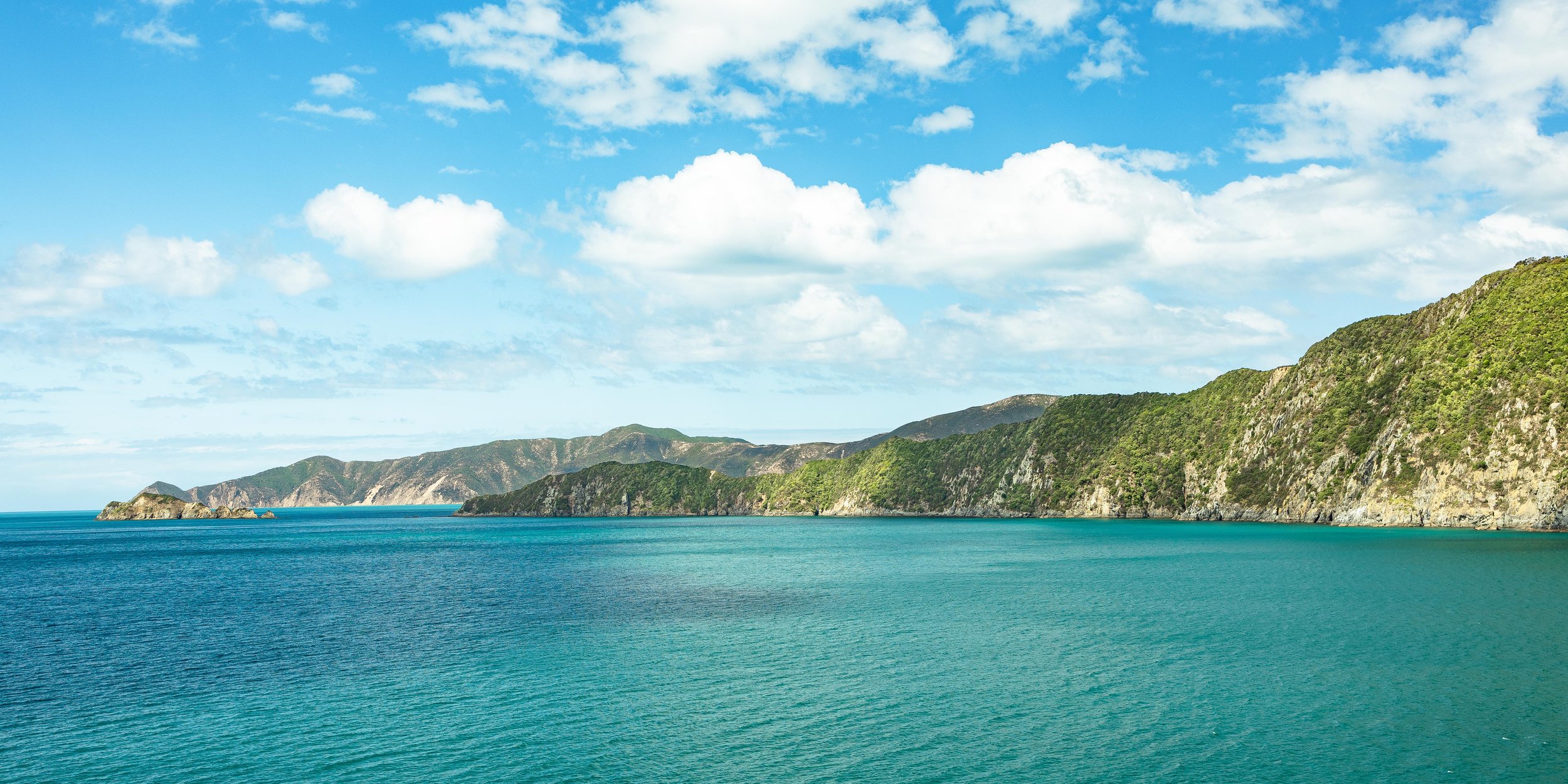 NZ - Title-5.jpg