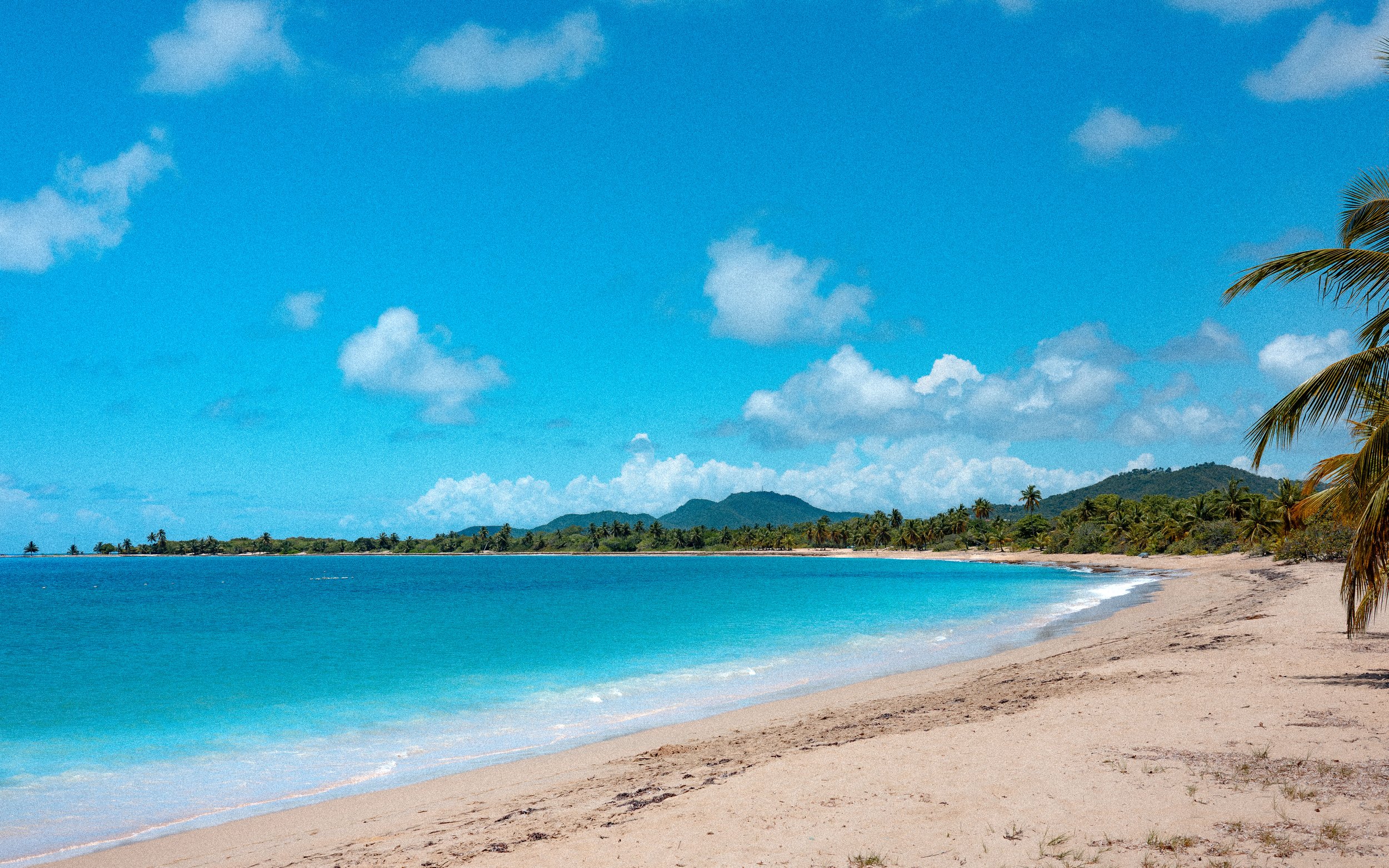 Vieques-6.jpg