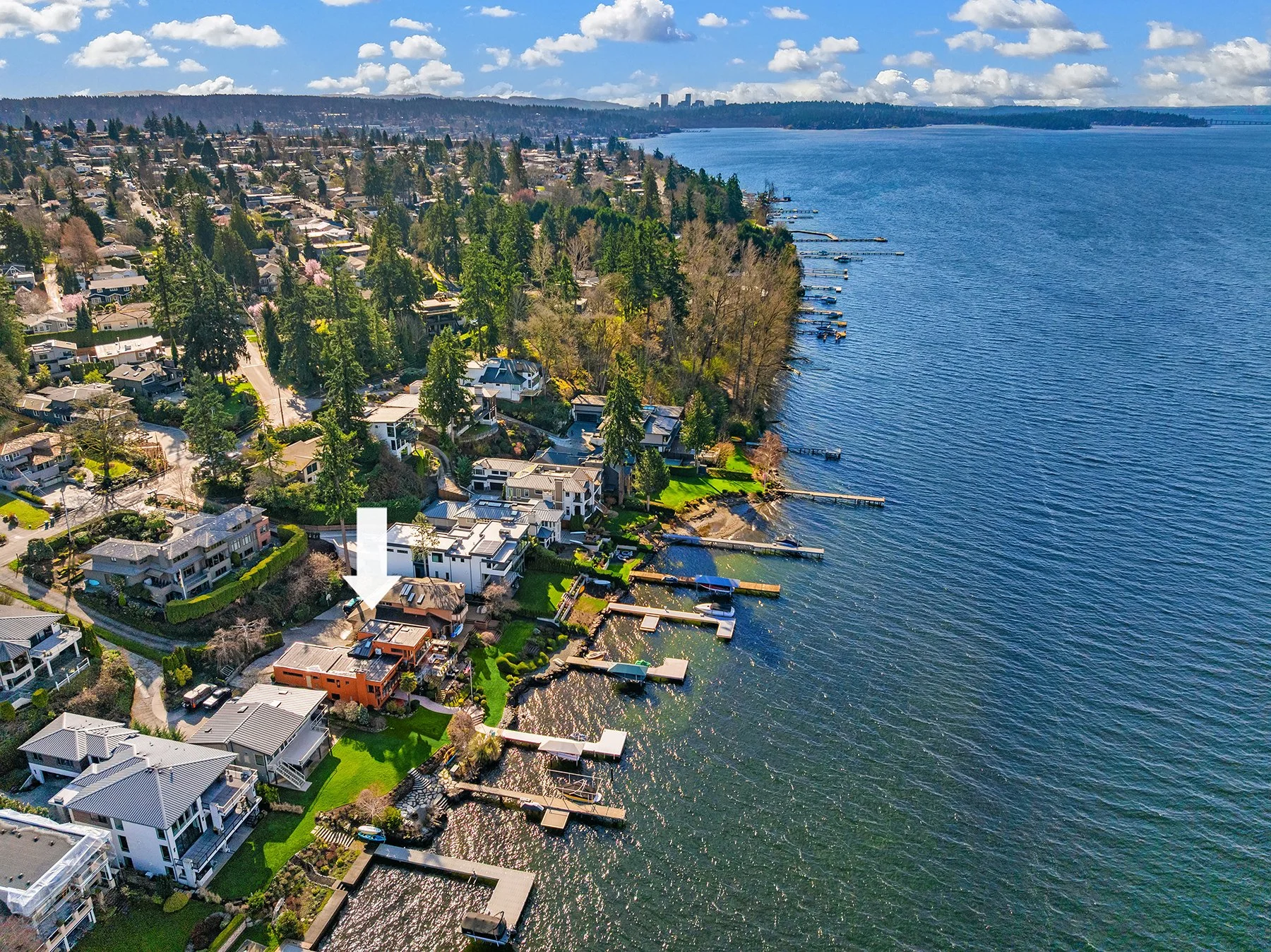 Web_54_with arrow.jpg