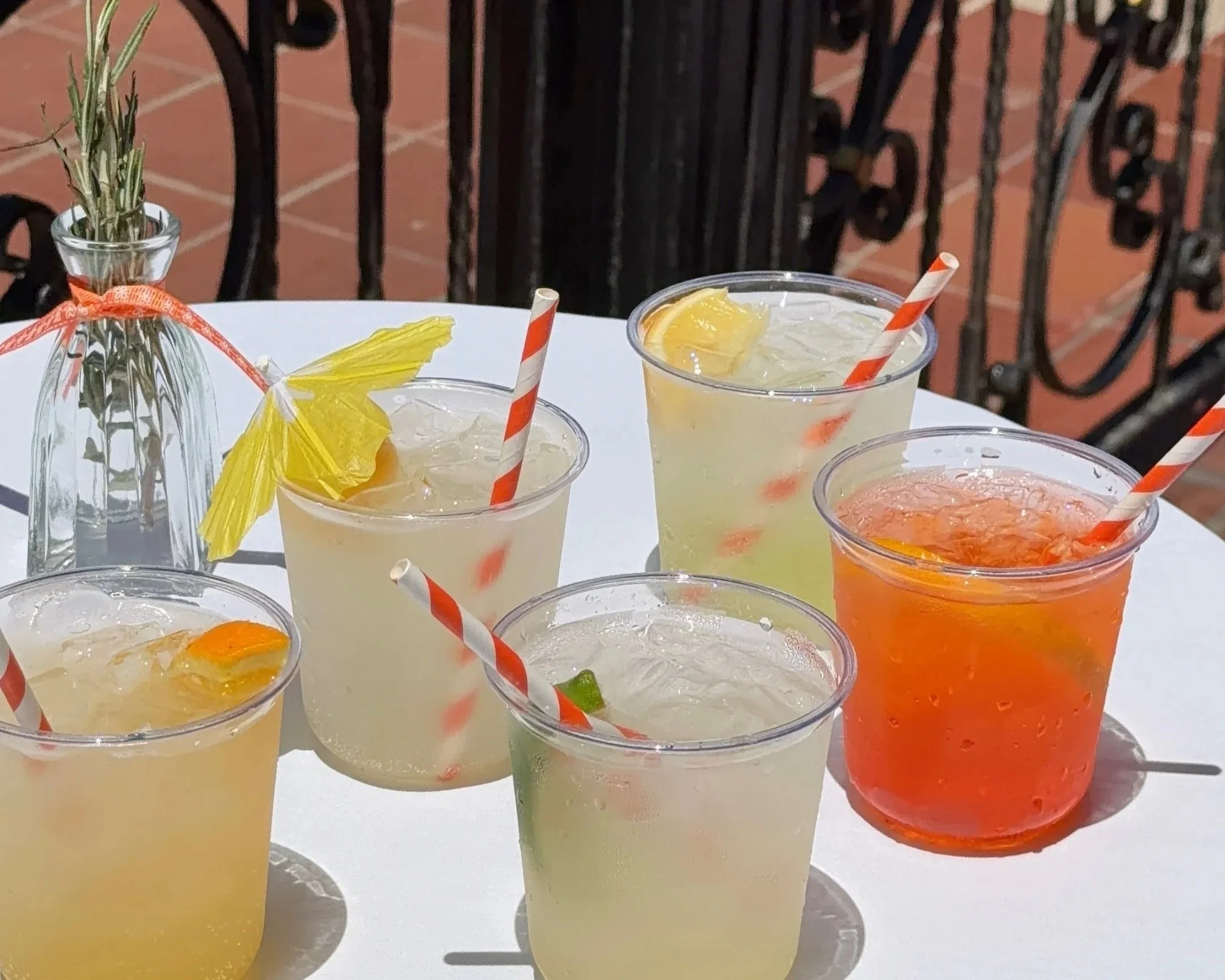 Patio 21 Spritz Garden
