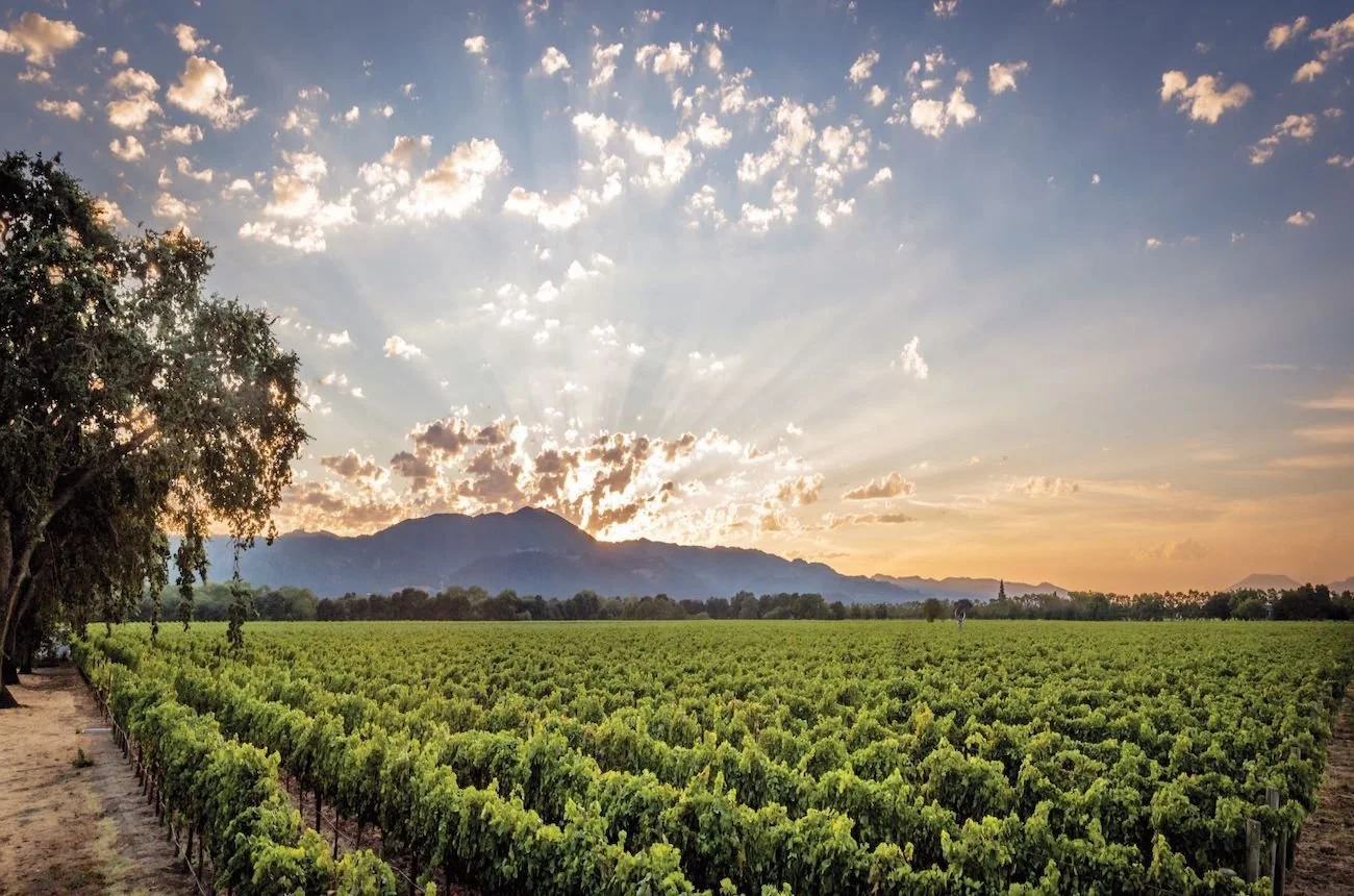 “Icons of Napa” Wine Dinner