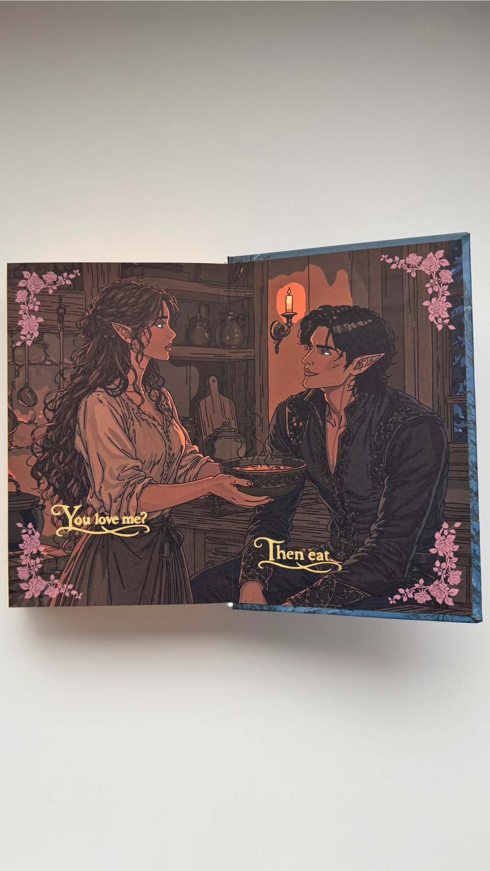 The handbound A Court of Mist and Fury edition, showing this panel in place.