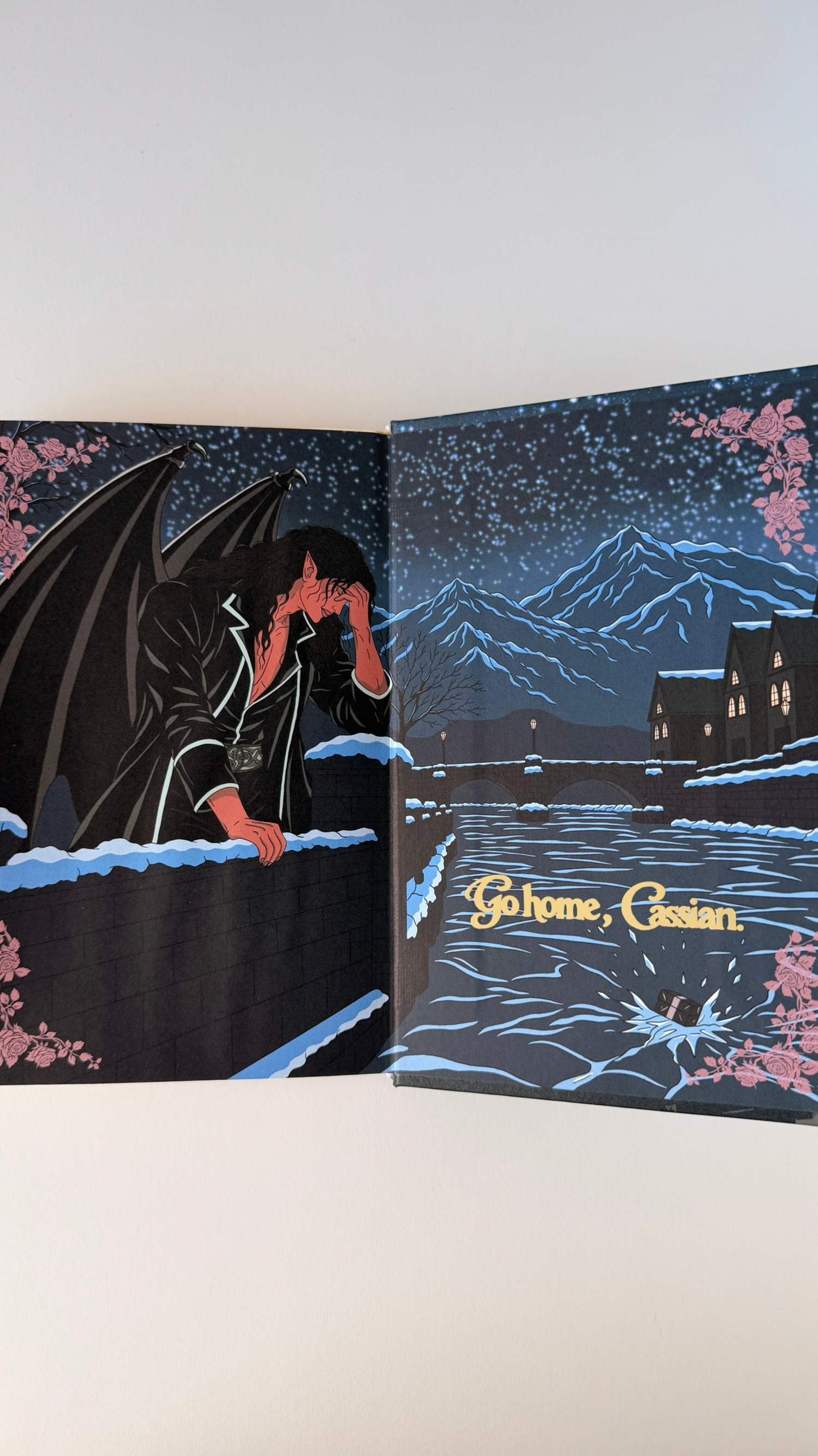 The handbound A Court of Frost and Starlight edition, showing this panel in place.