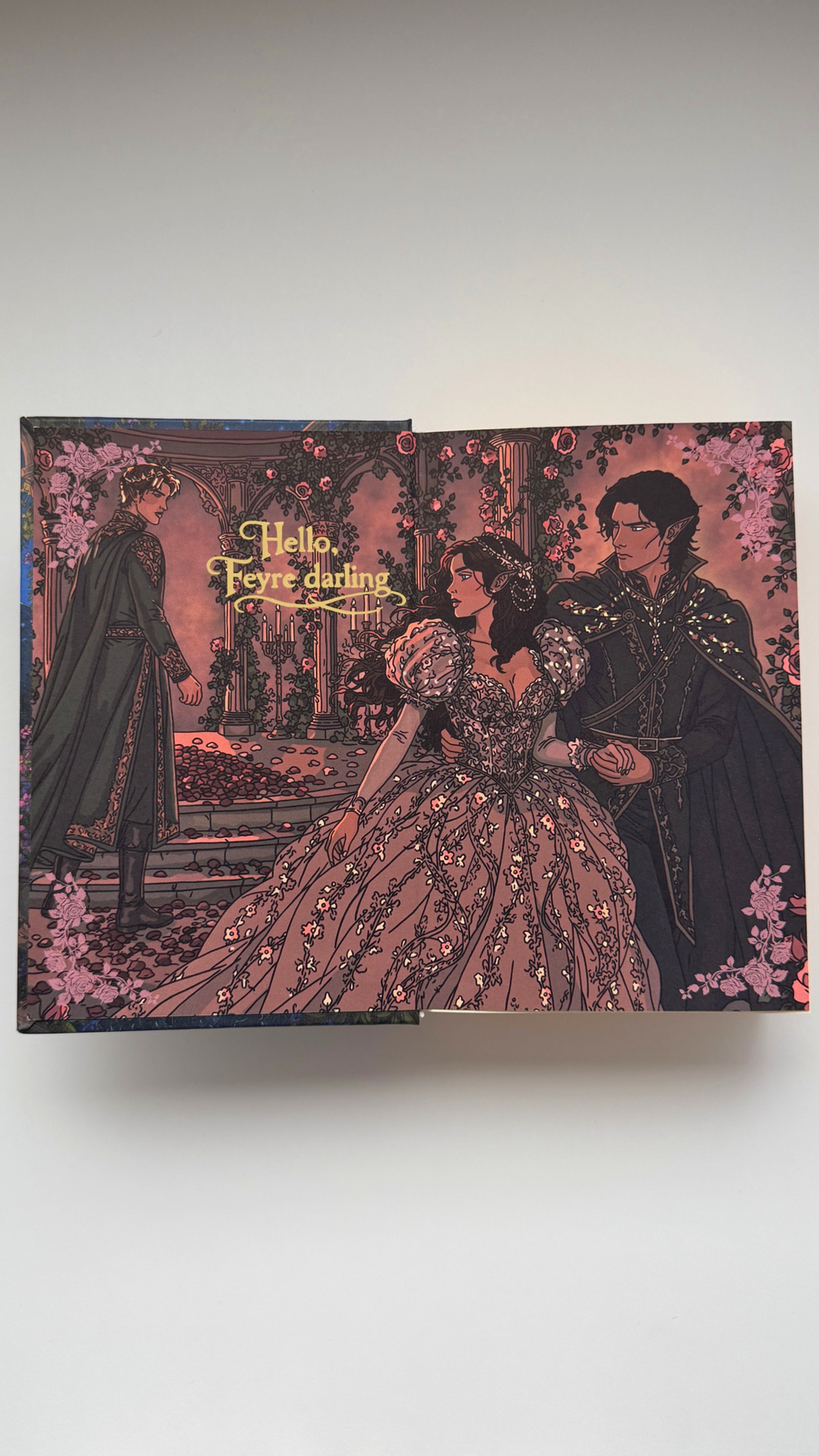 The handbound A Court of Mist and Fury edition, showing this panel in place.