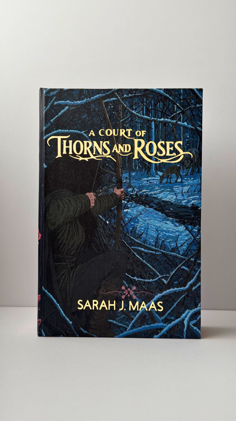 A Court of Thorns and Roses, finished cover.
