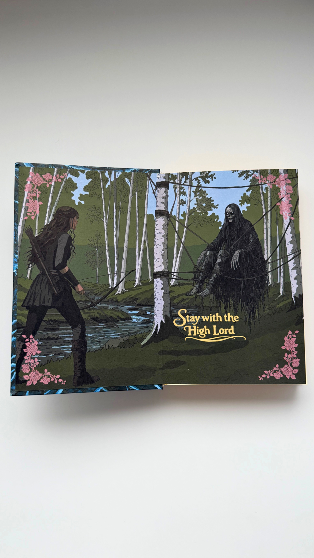The handbound A Court of Thorns and Roses edition, showing this panel in place.