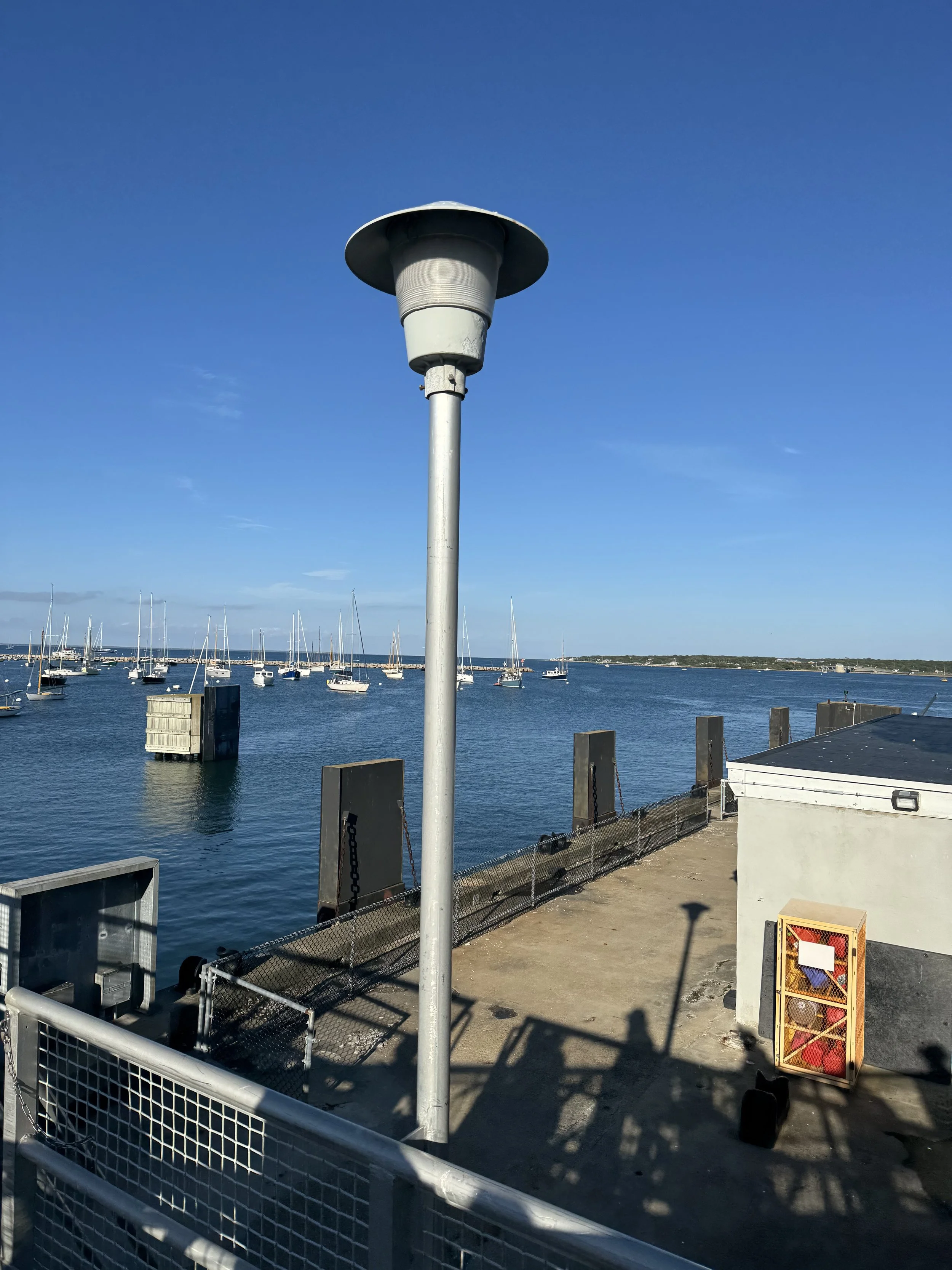 IMG_8249.jpeg